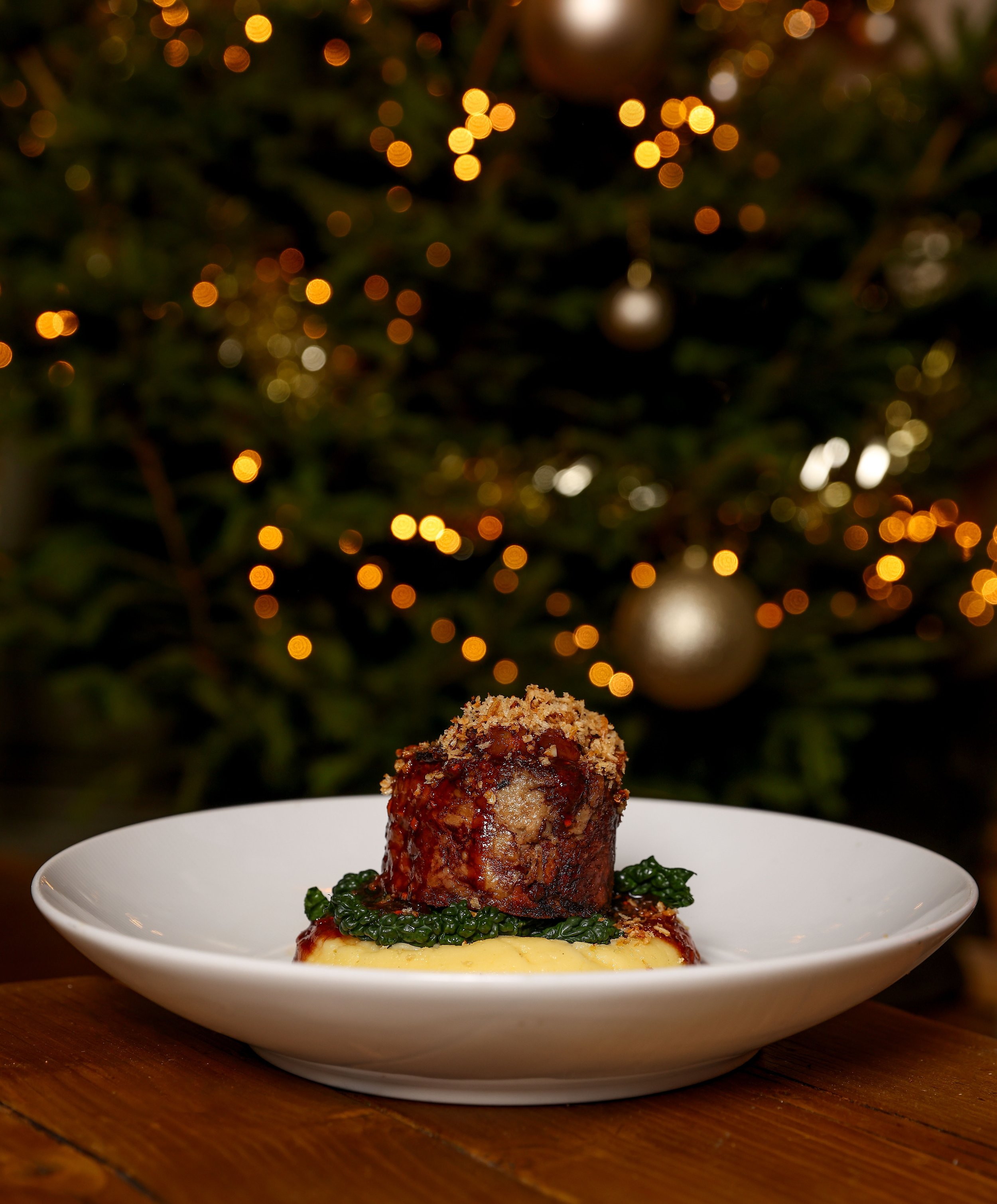 Lion at Thurgarton Christmas 25'-25.jpg