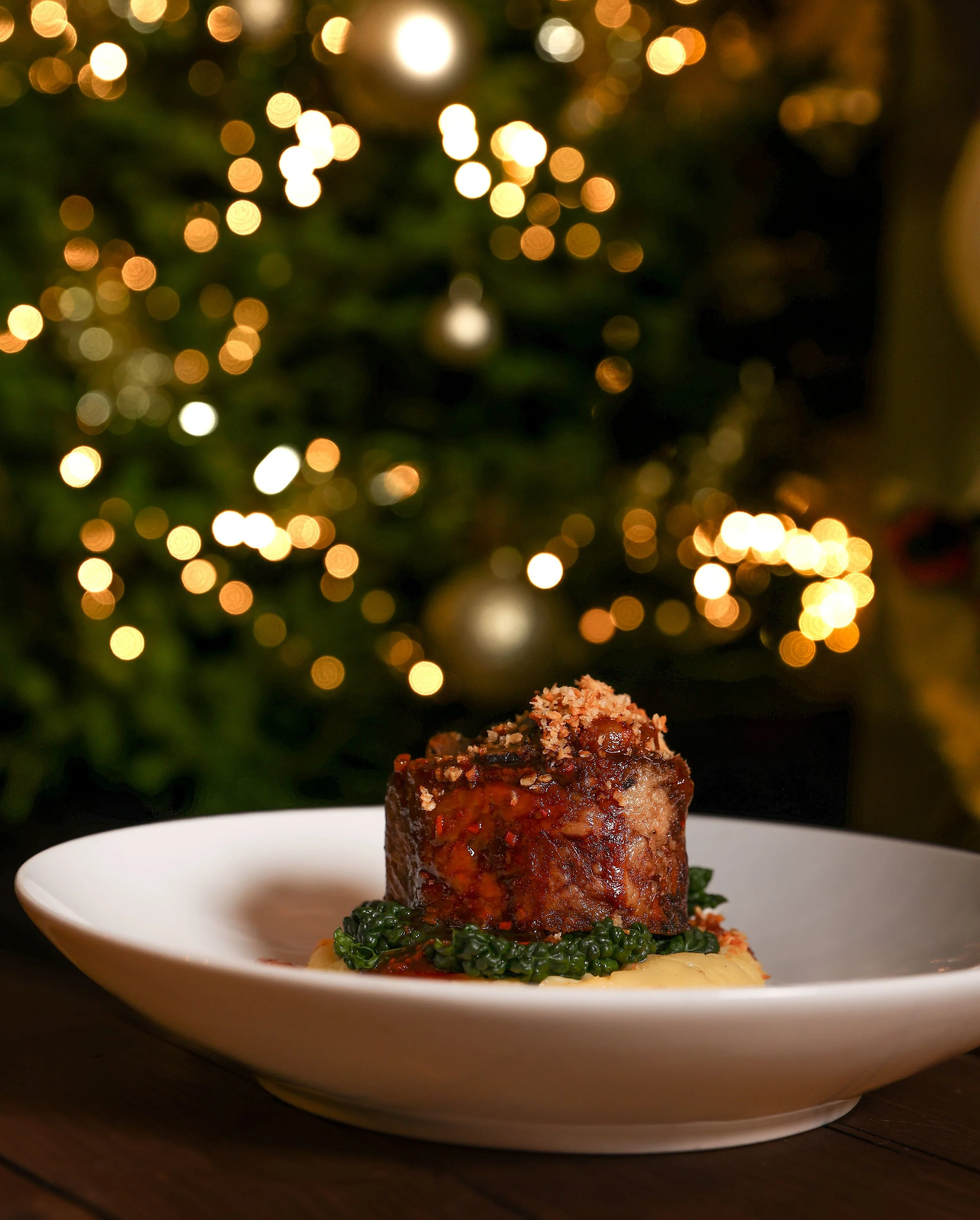 Lion at Thurgarton Christmas 25'-32.jpg
