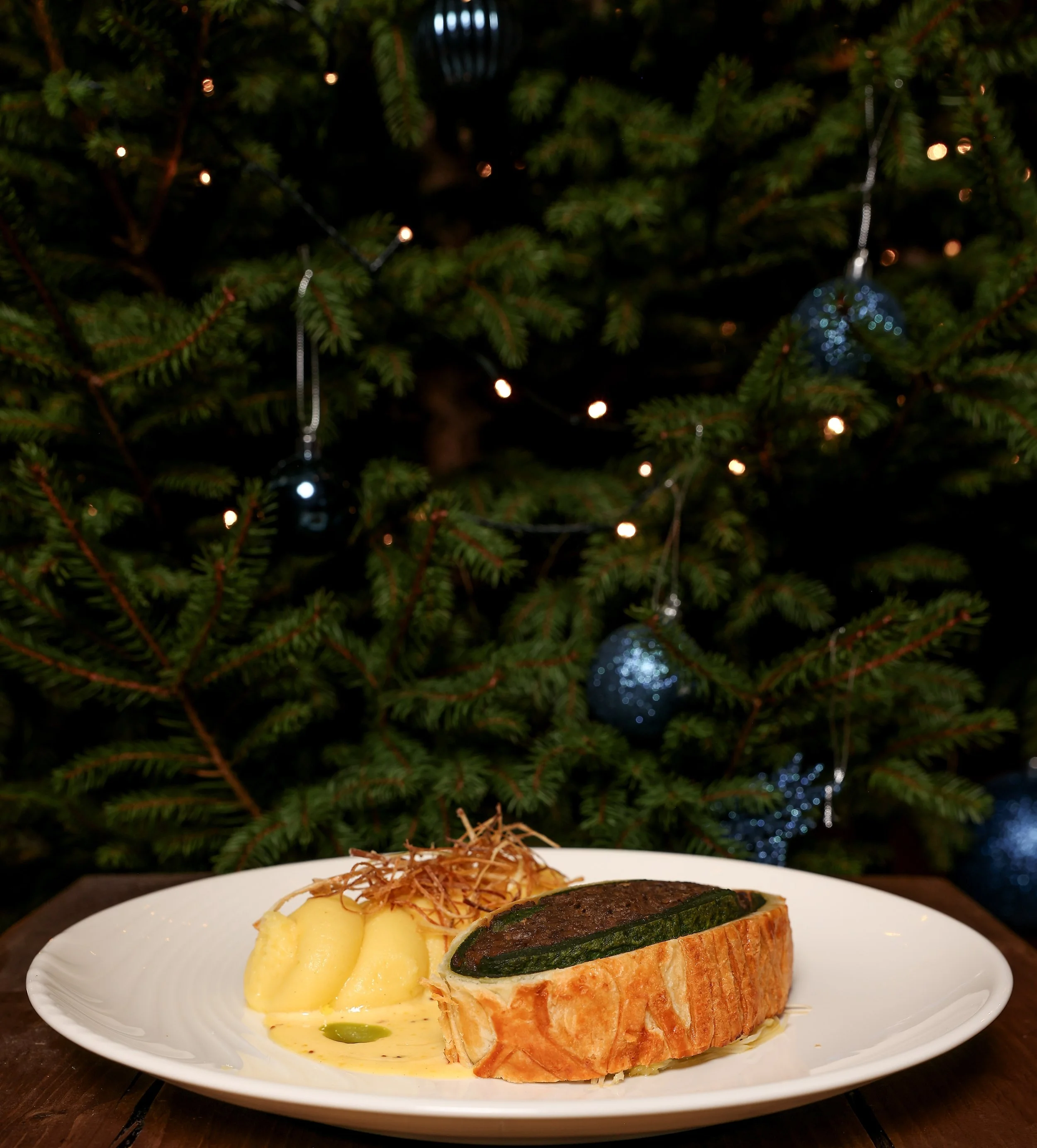 Lion at Thurgarton Christmas 25'-48.jpg