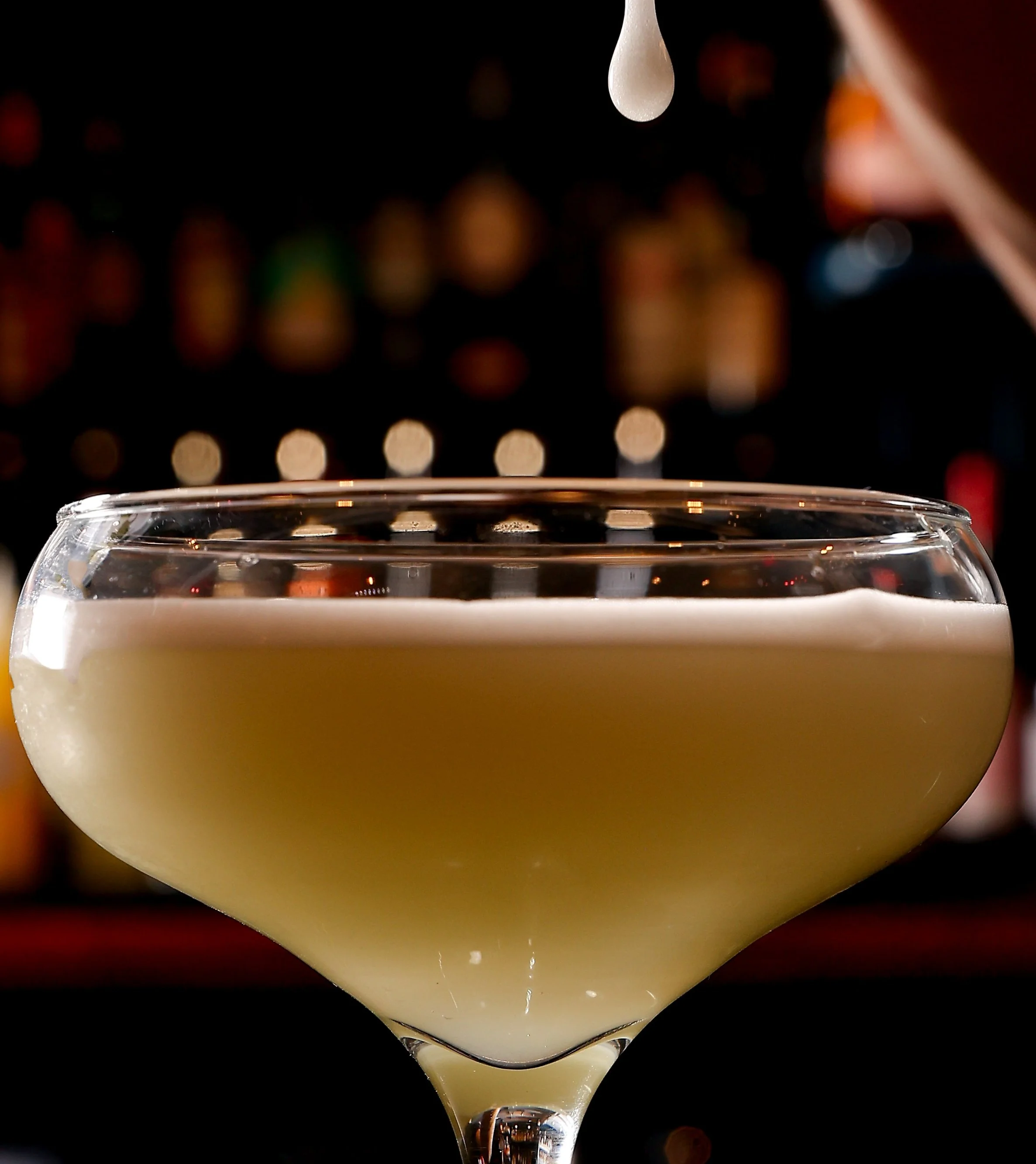 The Lion Drinks-15.jpg