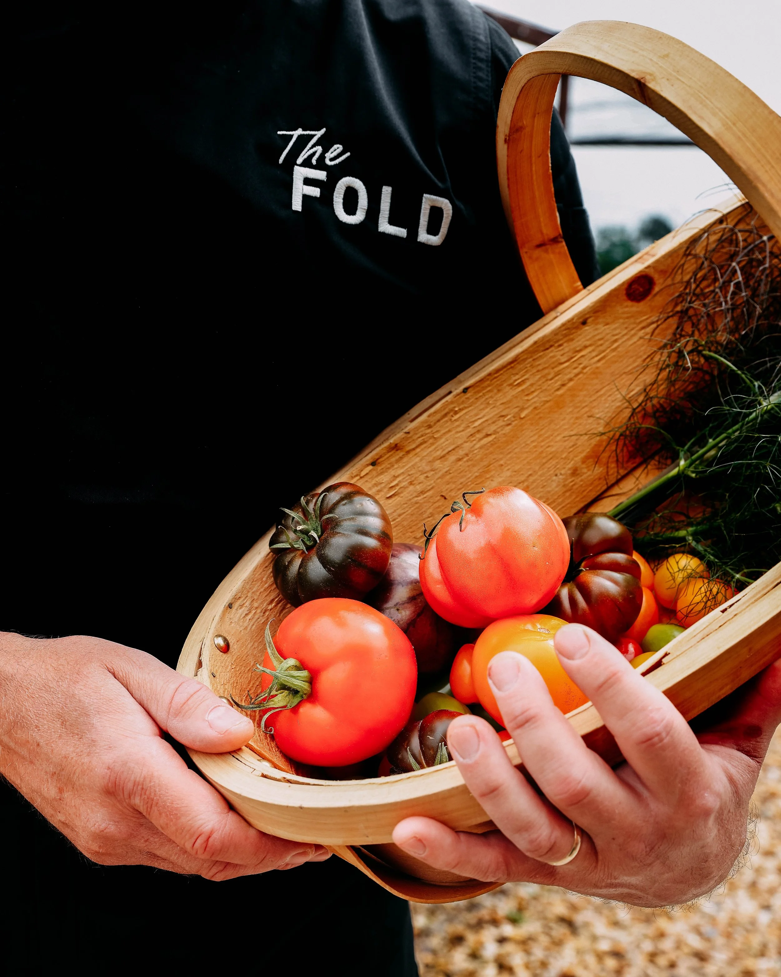 The Fold-34.jpg