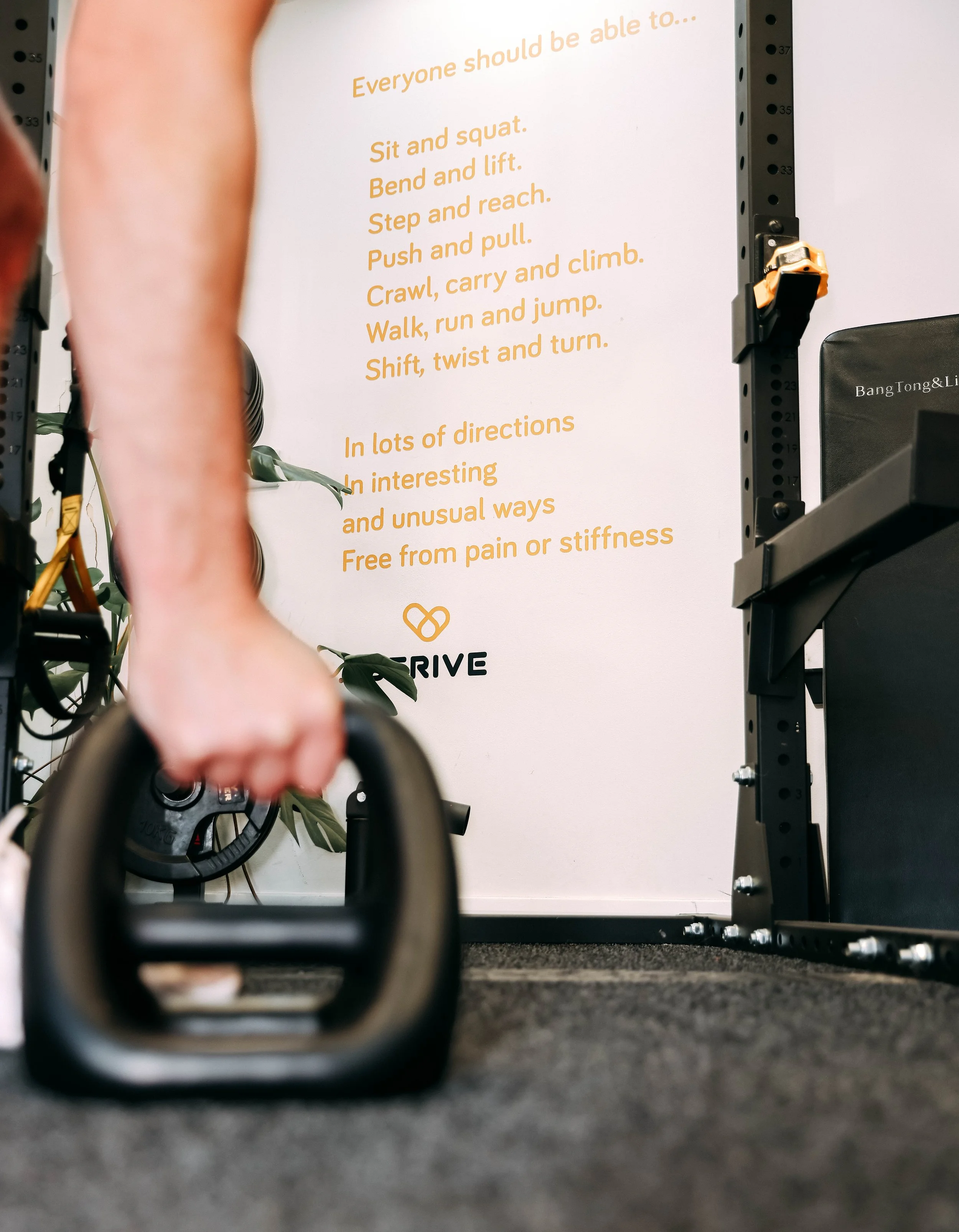 Strive -47.jpg