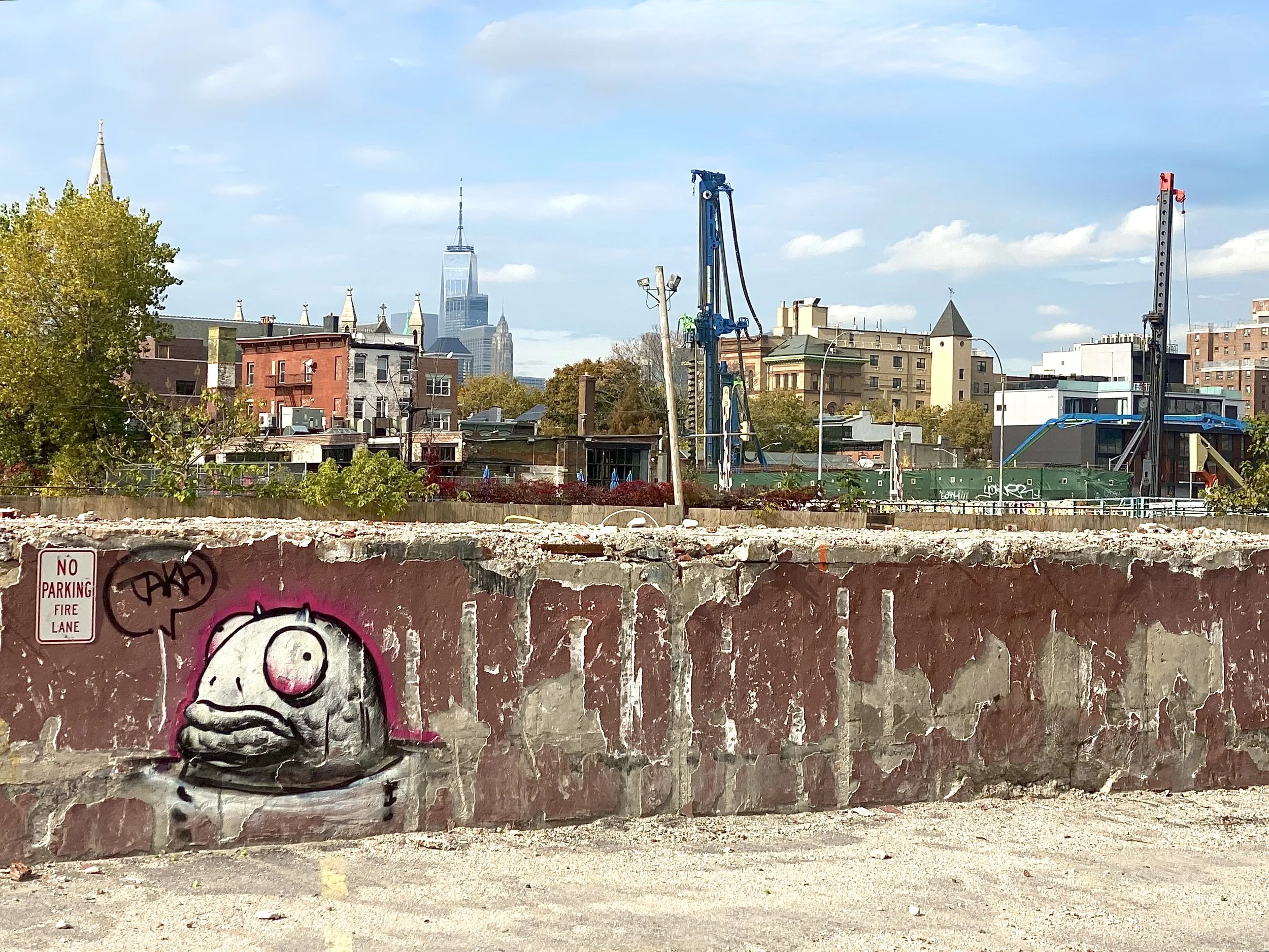 Amitrano_Joann_Taka Takes Nevins St..jpg