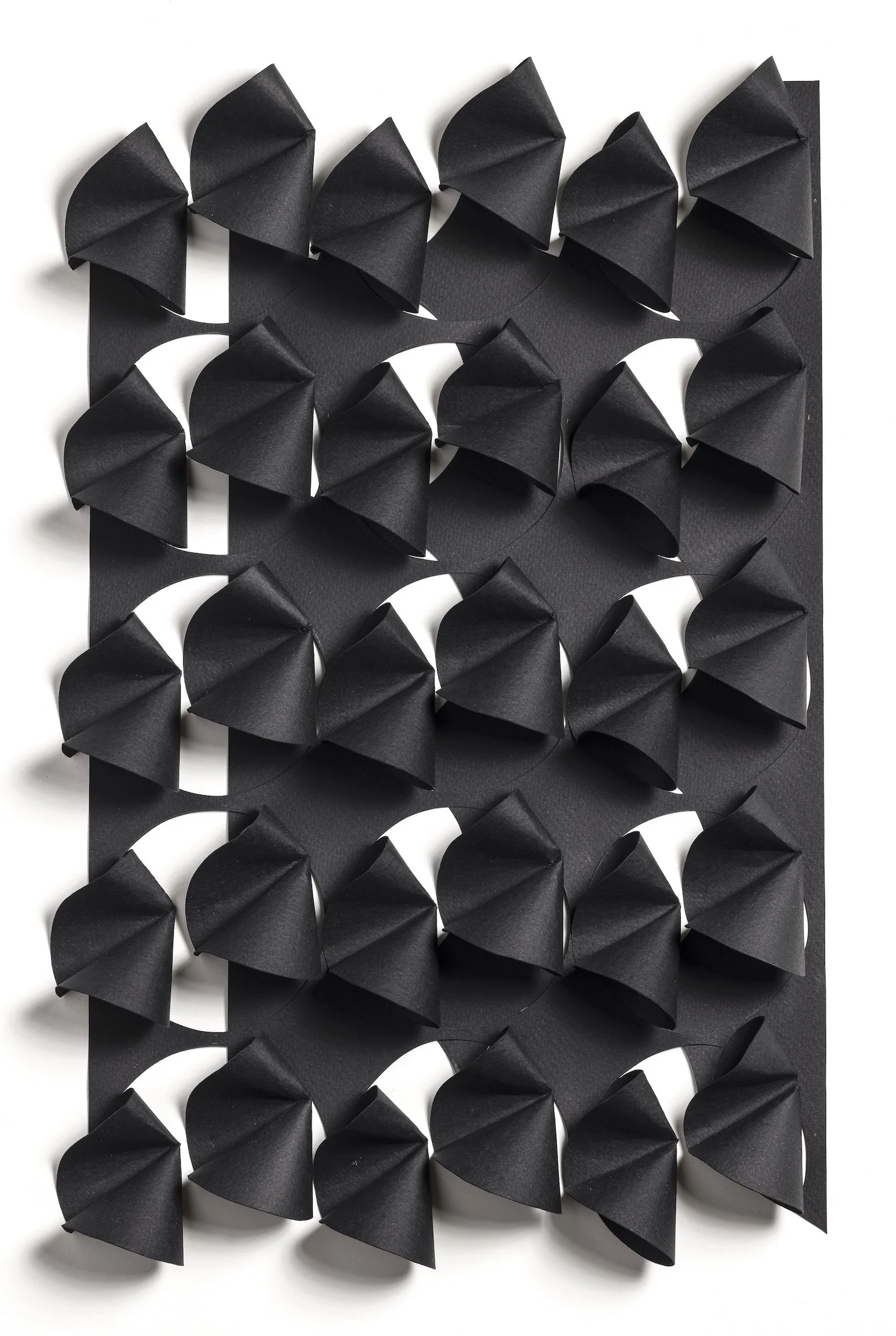 Jaff_Liz_BlackSnitch (1).jpeg