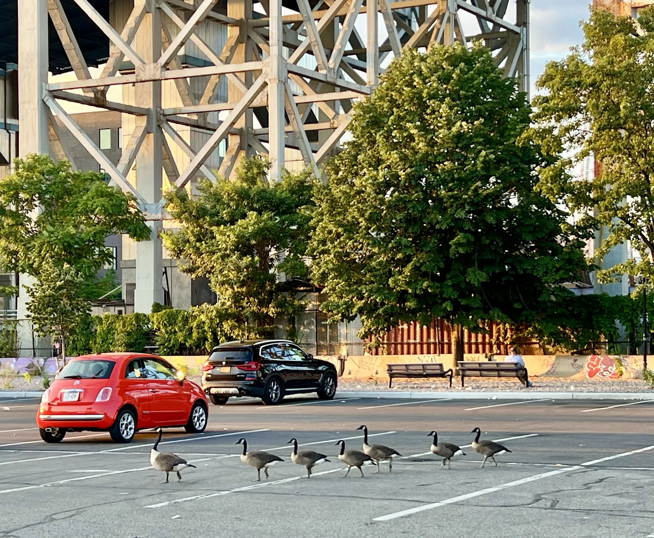 PENN_TRACY_WORLDS COLLIDE.jpeg