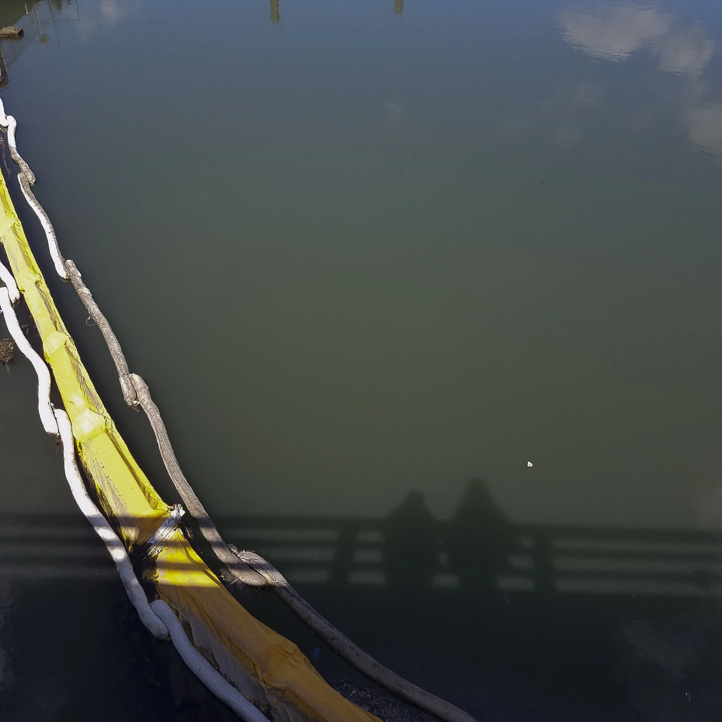 Holcomb_Kristin_Finding Wonder _33.jpg