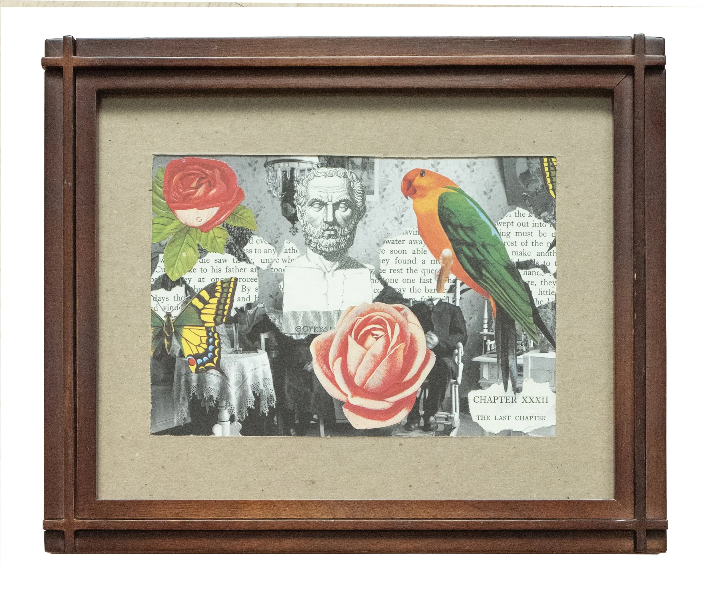 Cox_Tuula_My Parrot Teacher.jpg