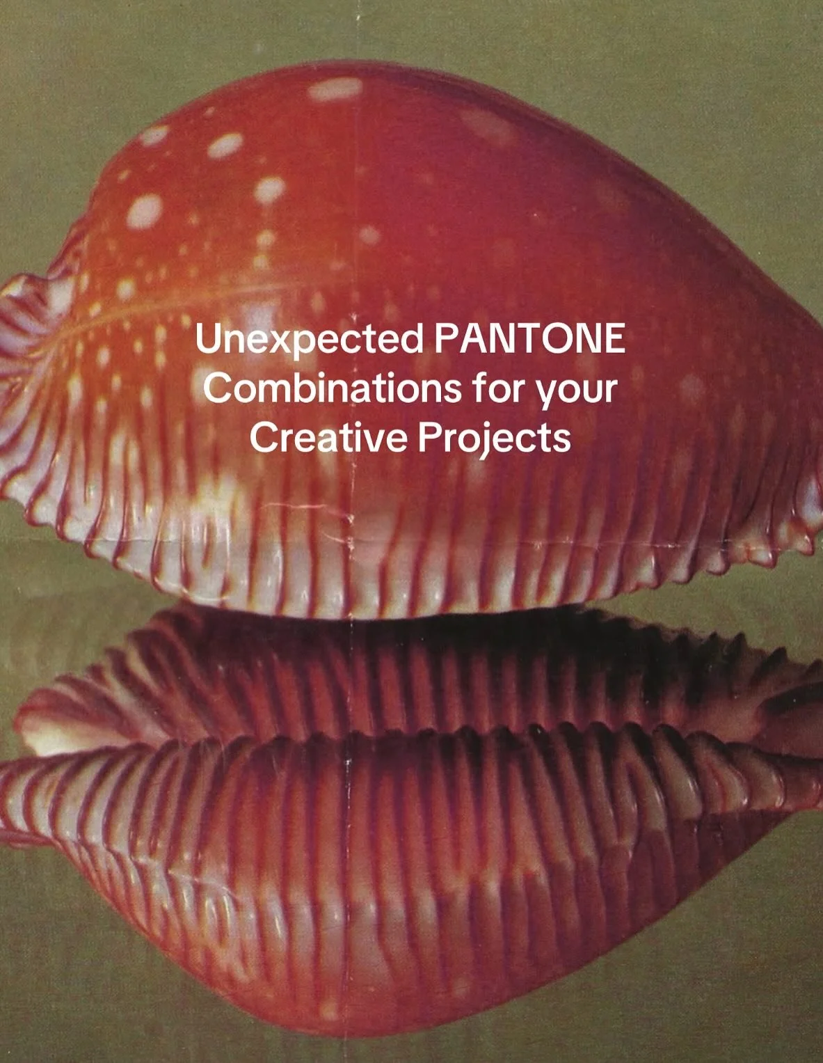 Pt. 3 | Unexpected PANTONE
Combinations for your Creative Projects

I love that you don&rsquo;t know what will come next

-

Image Credits: 
All image credits remain with their original creators. If one of these is yours, let me know in the comments 