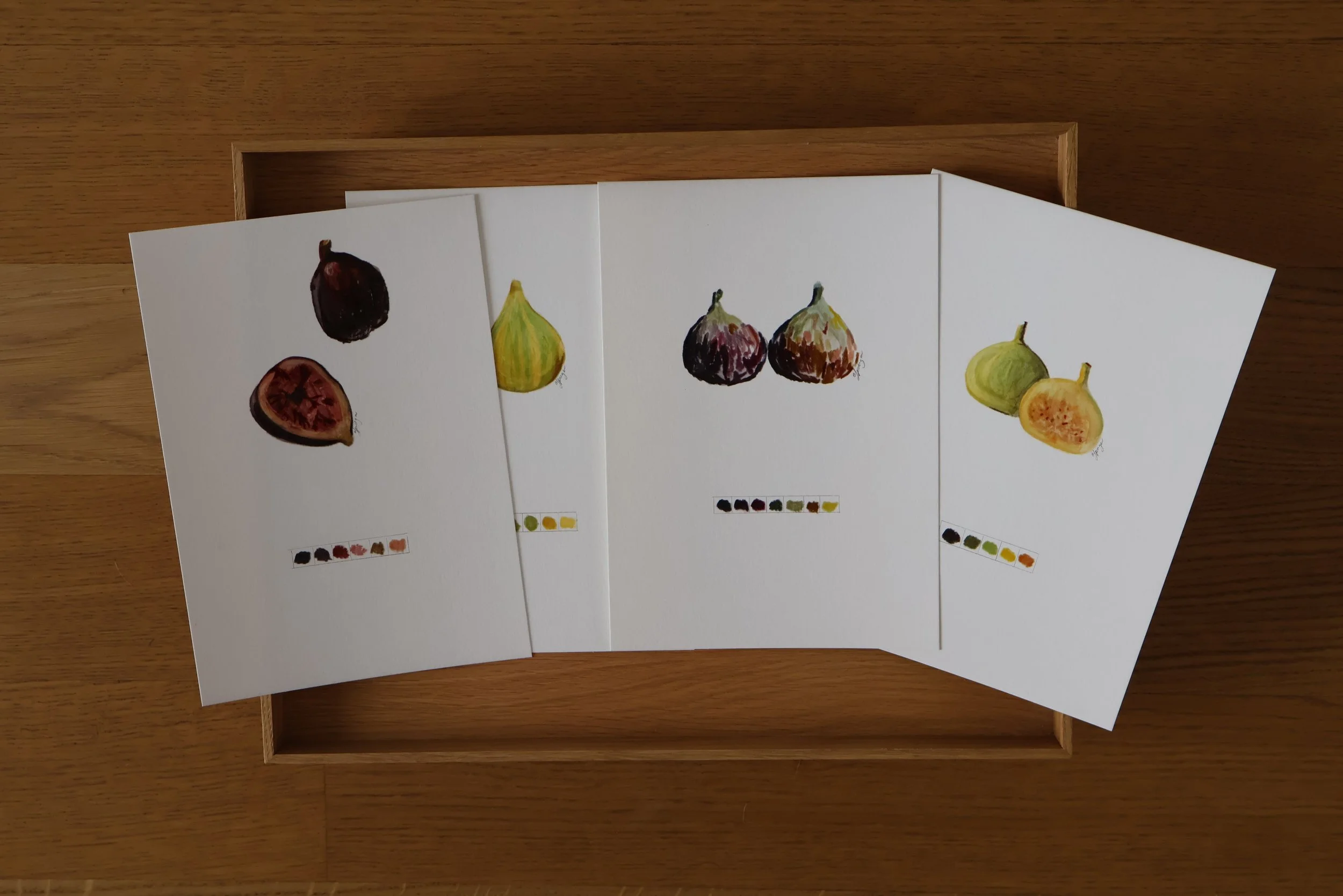 Complete Fig Study Collection (Set of Four)