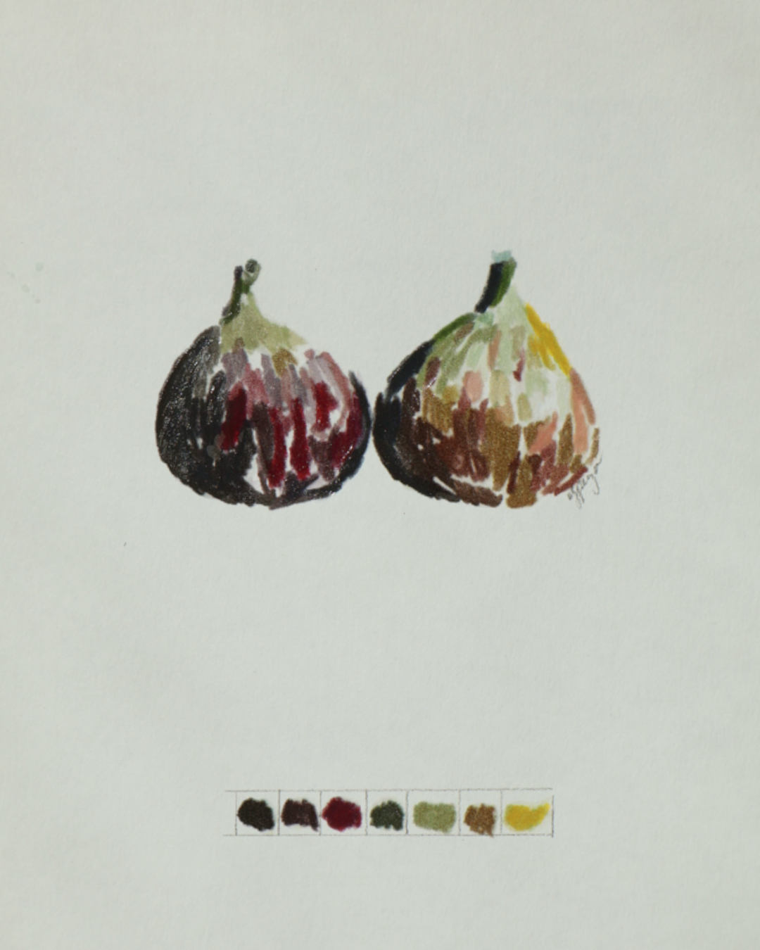 Seasonal Fig Study 3