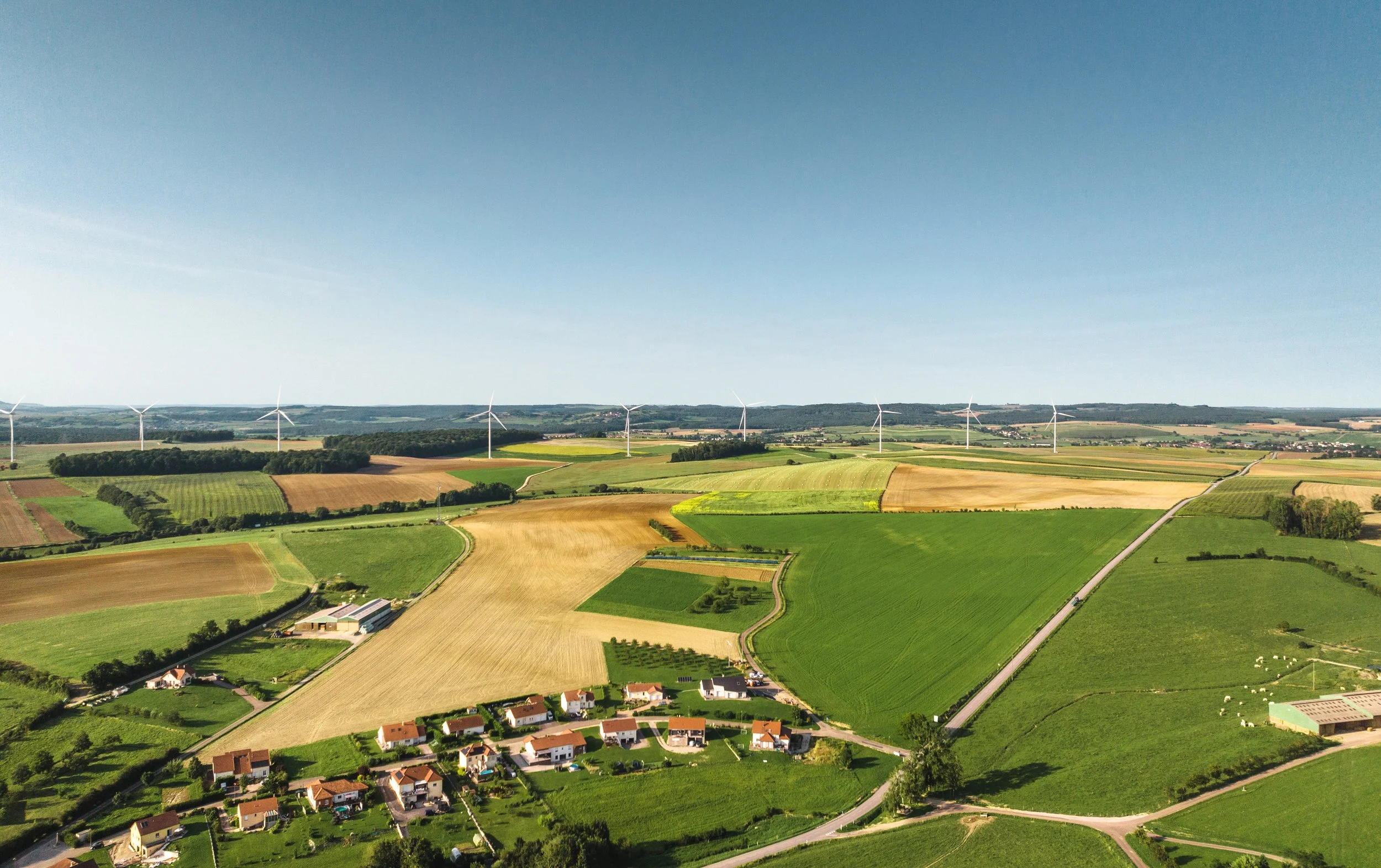 Stellungnahme zum AgNes-Prozess: Fokus Einspeiseentgelte