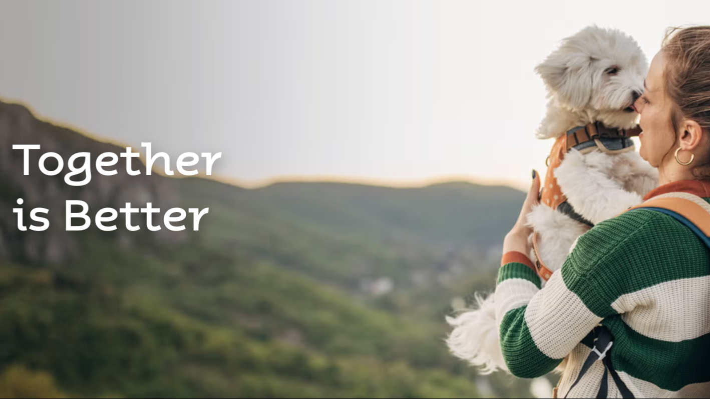 Cesar X Trip Advisor social campaign