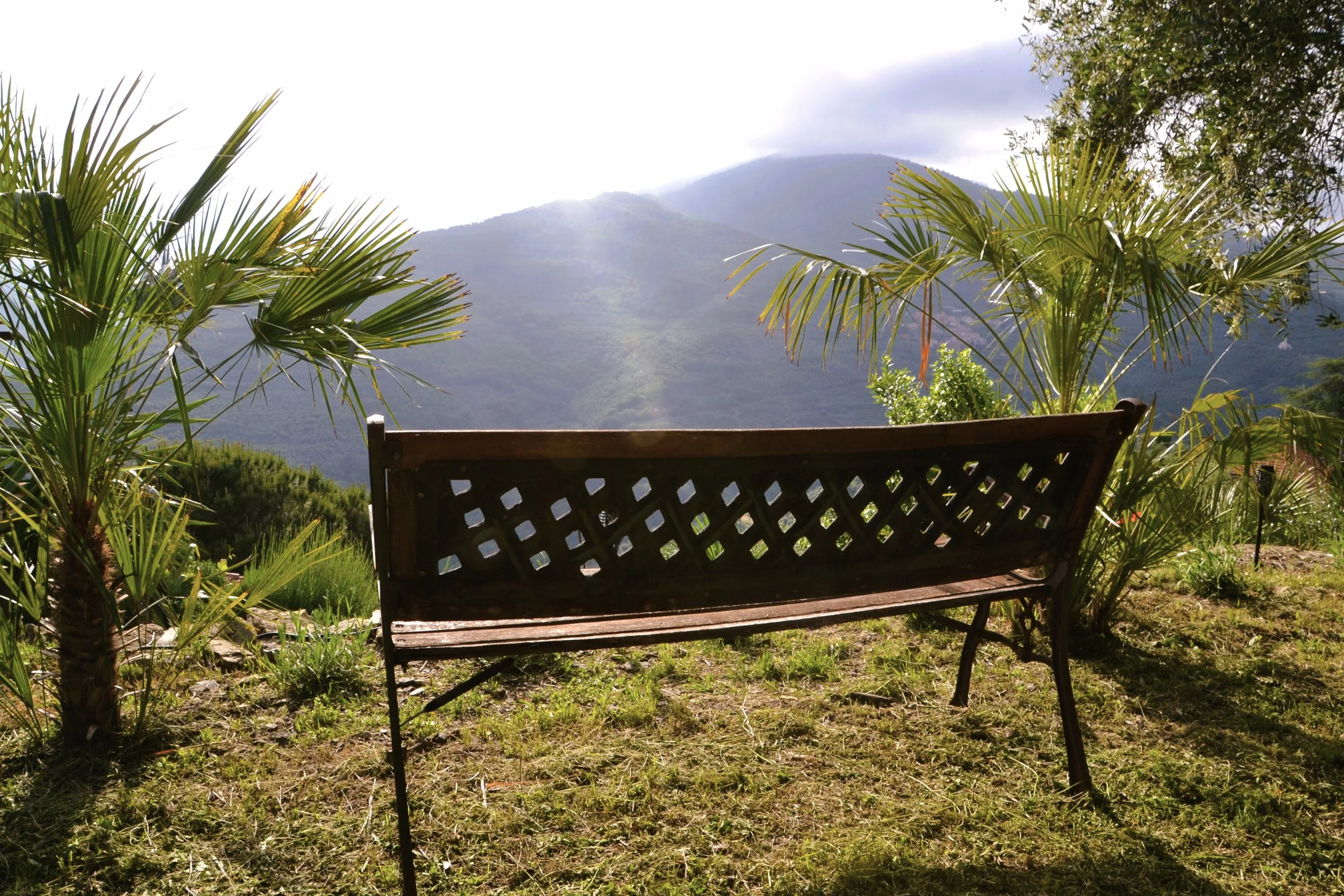 A bench with a view.JPG