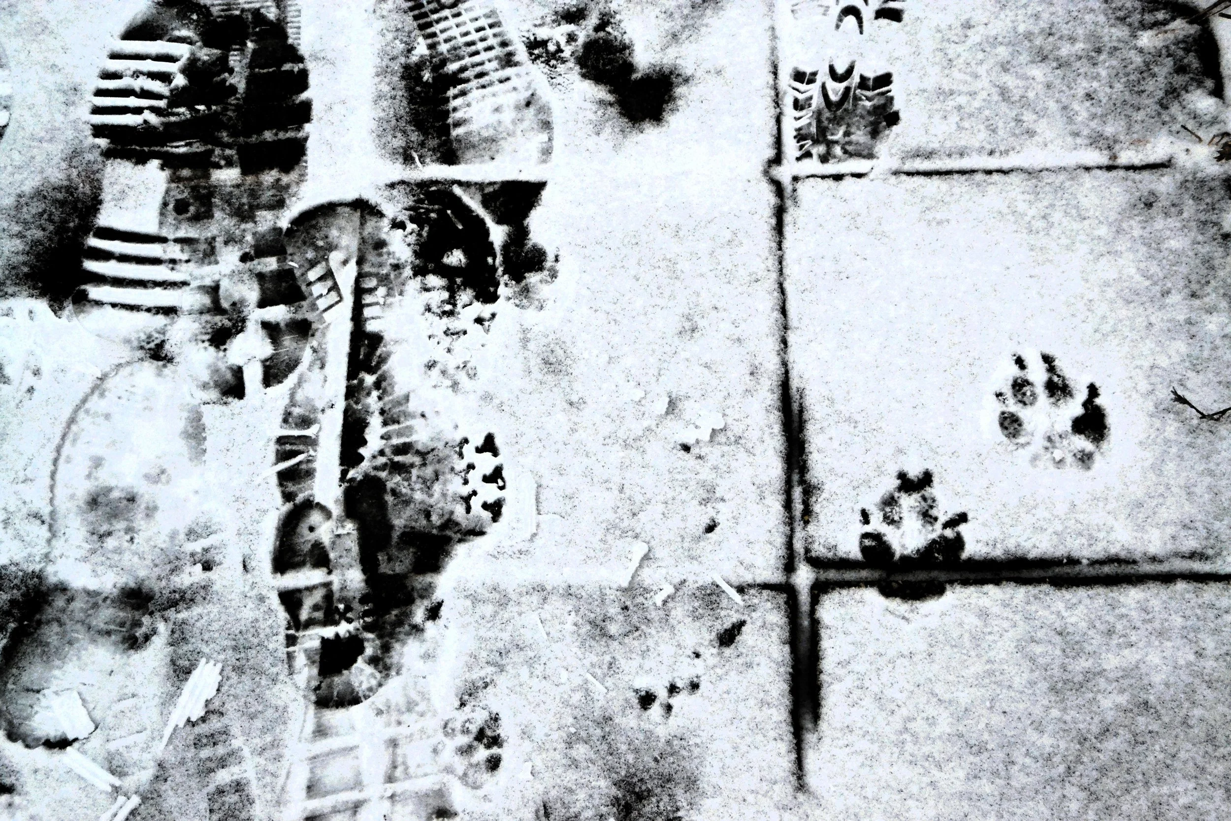 Copia di Norimberga 11.JPG