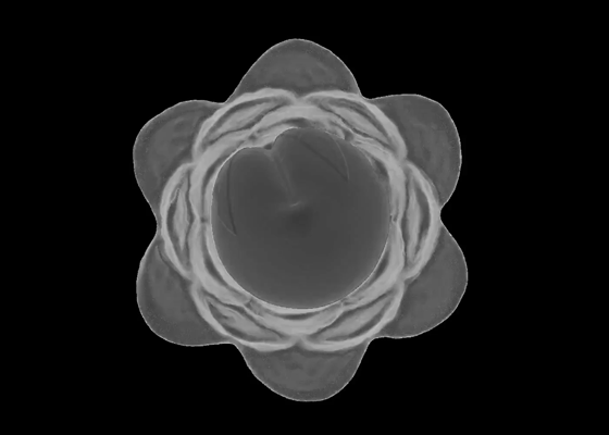 FLOWER-TOP-BW-A.gif