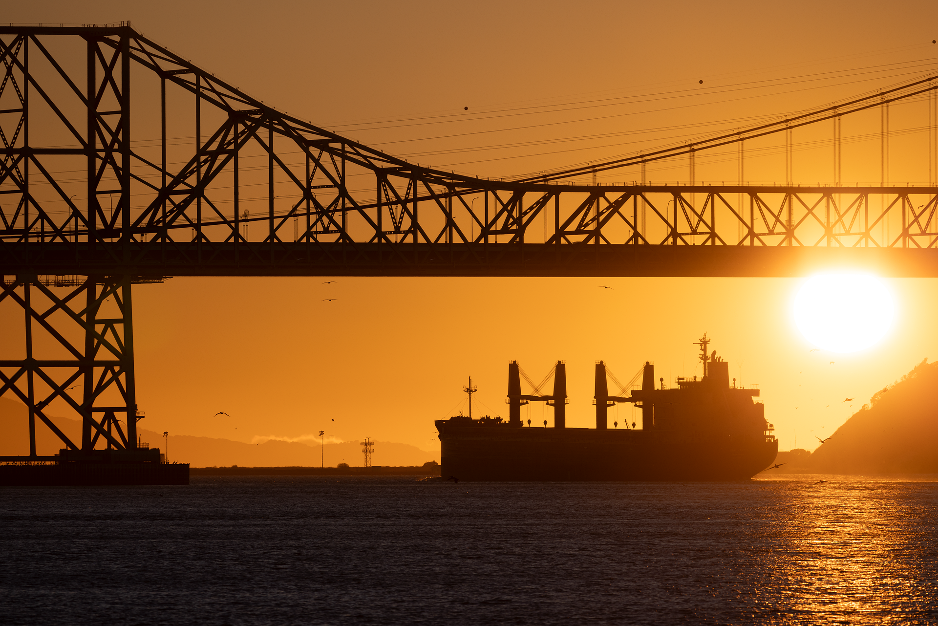Biofuels on board: How World Fuel is supplying the next route to decarbonization