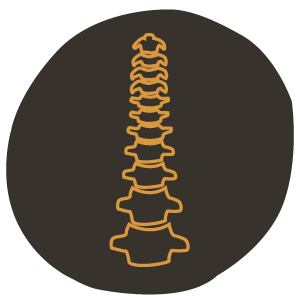 Spine-icon.png
