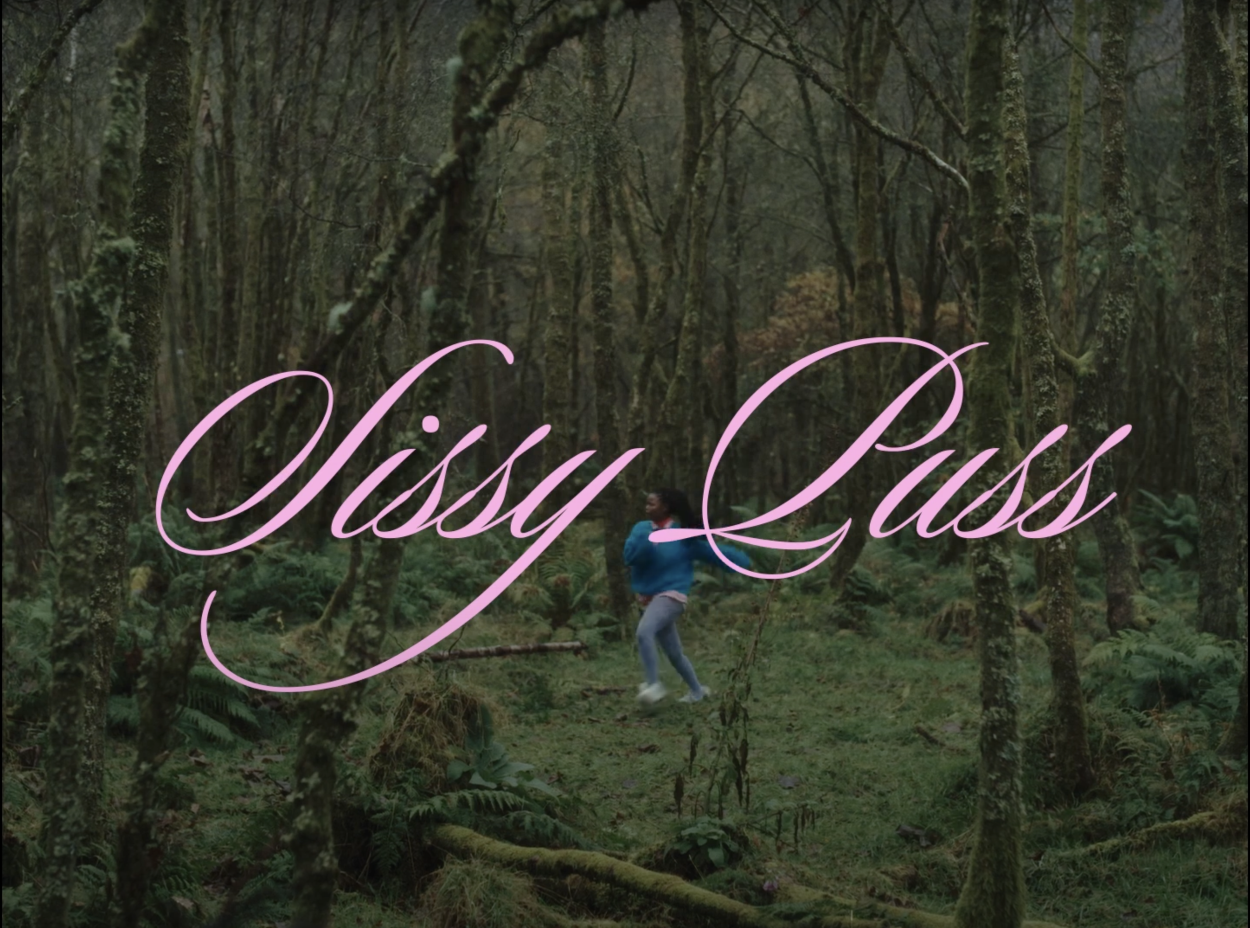 SissyPuss Sound Designer