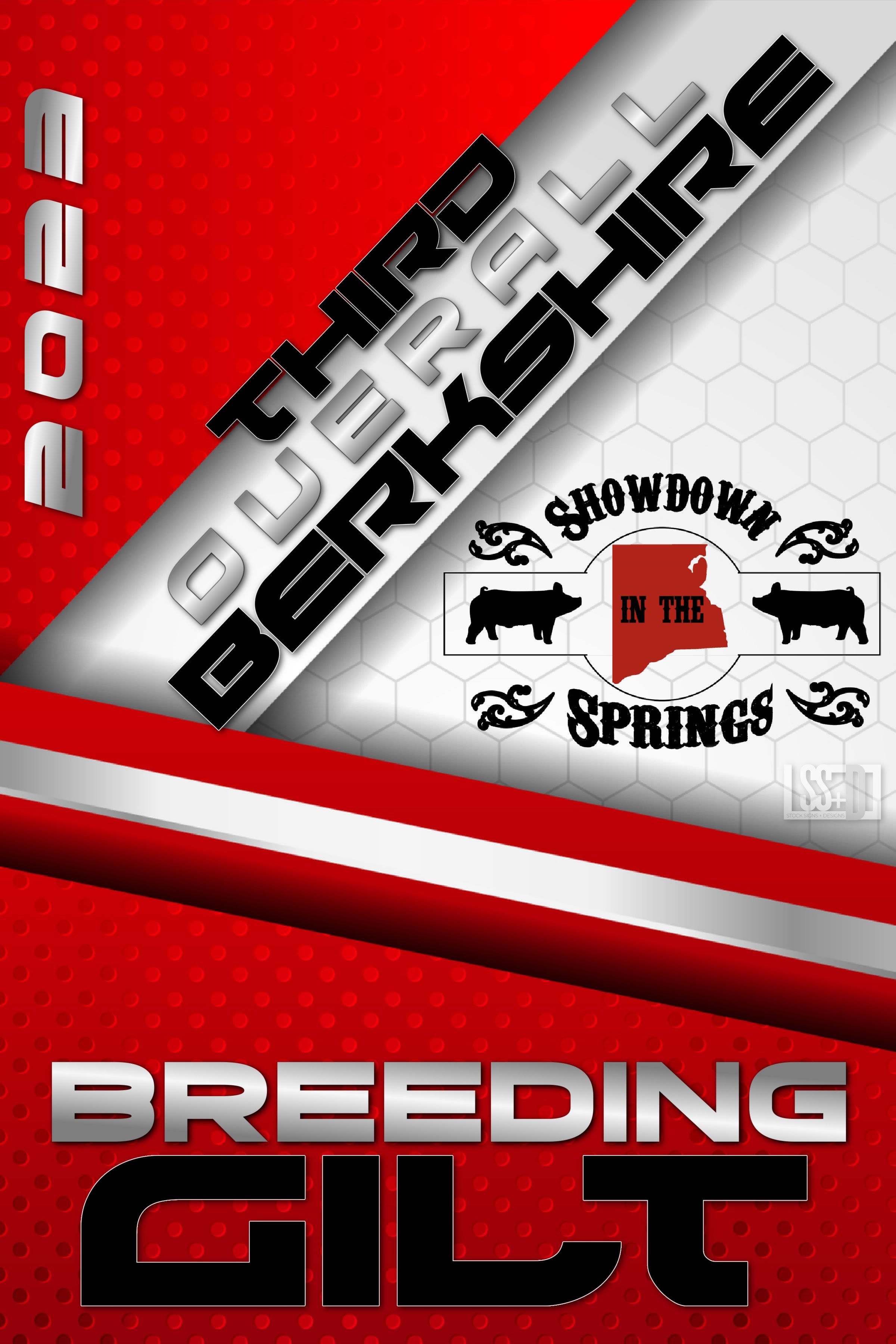 SHOWDOWN IN THE SPRINGS 2023 copy 32.jpg