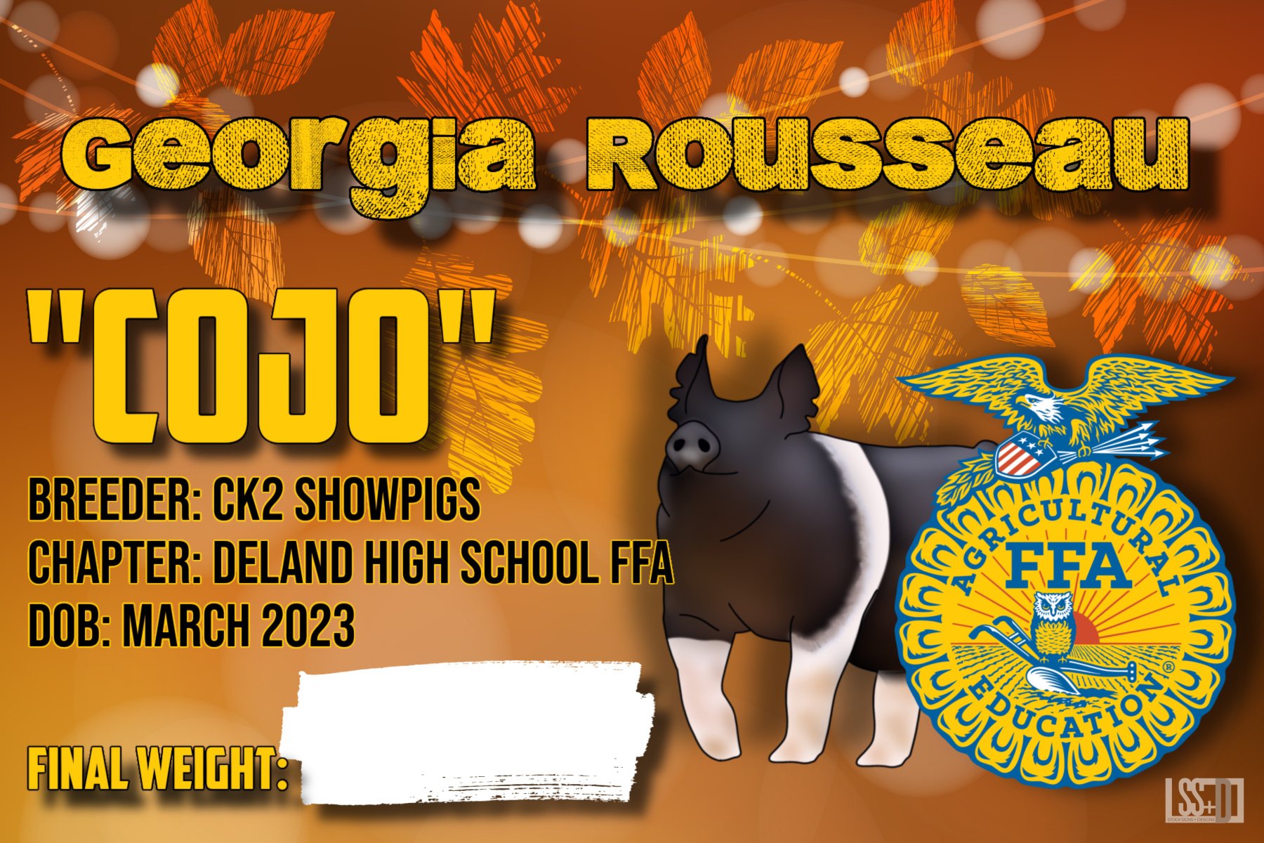 12x18_GEORGIA ROUSSEAU_CURRO WITH GROMENTS.jpg