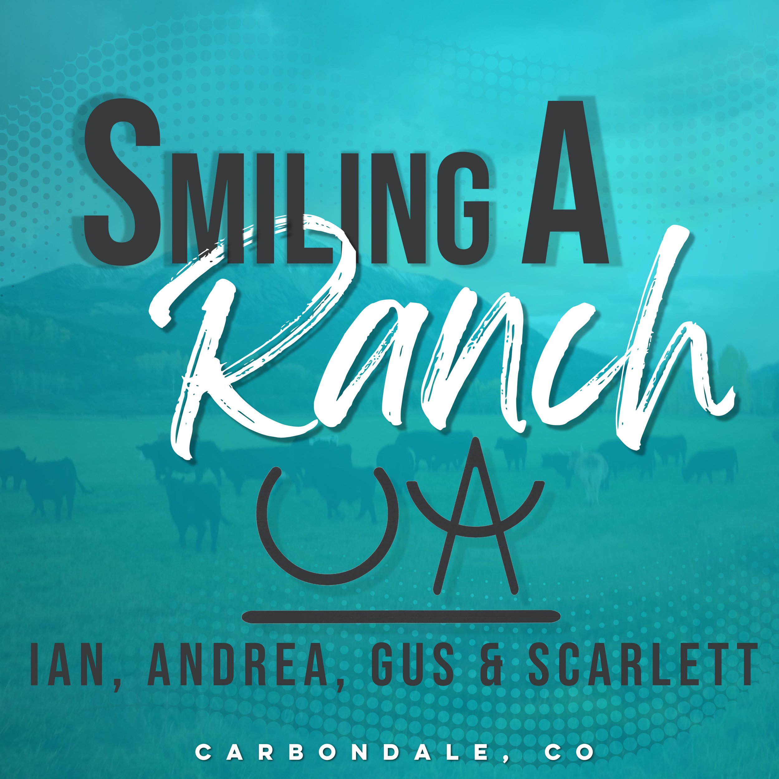 20x20_maxmetal_double sided_with groments_smiling a ranch.jpg
