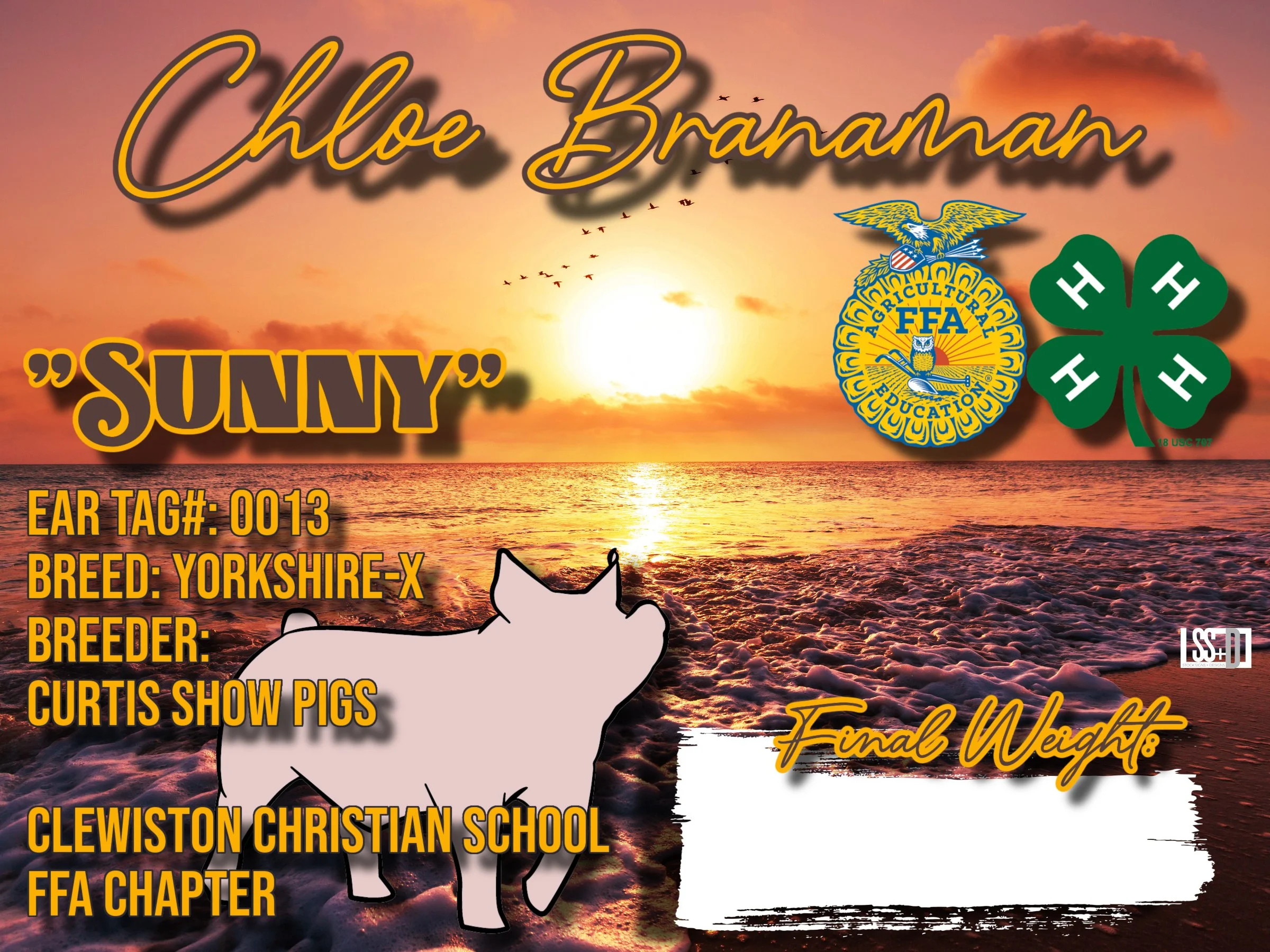 24x18_Chloe Branaman_Sunny.jpg