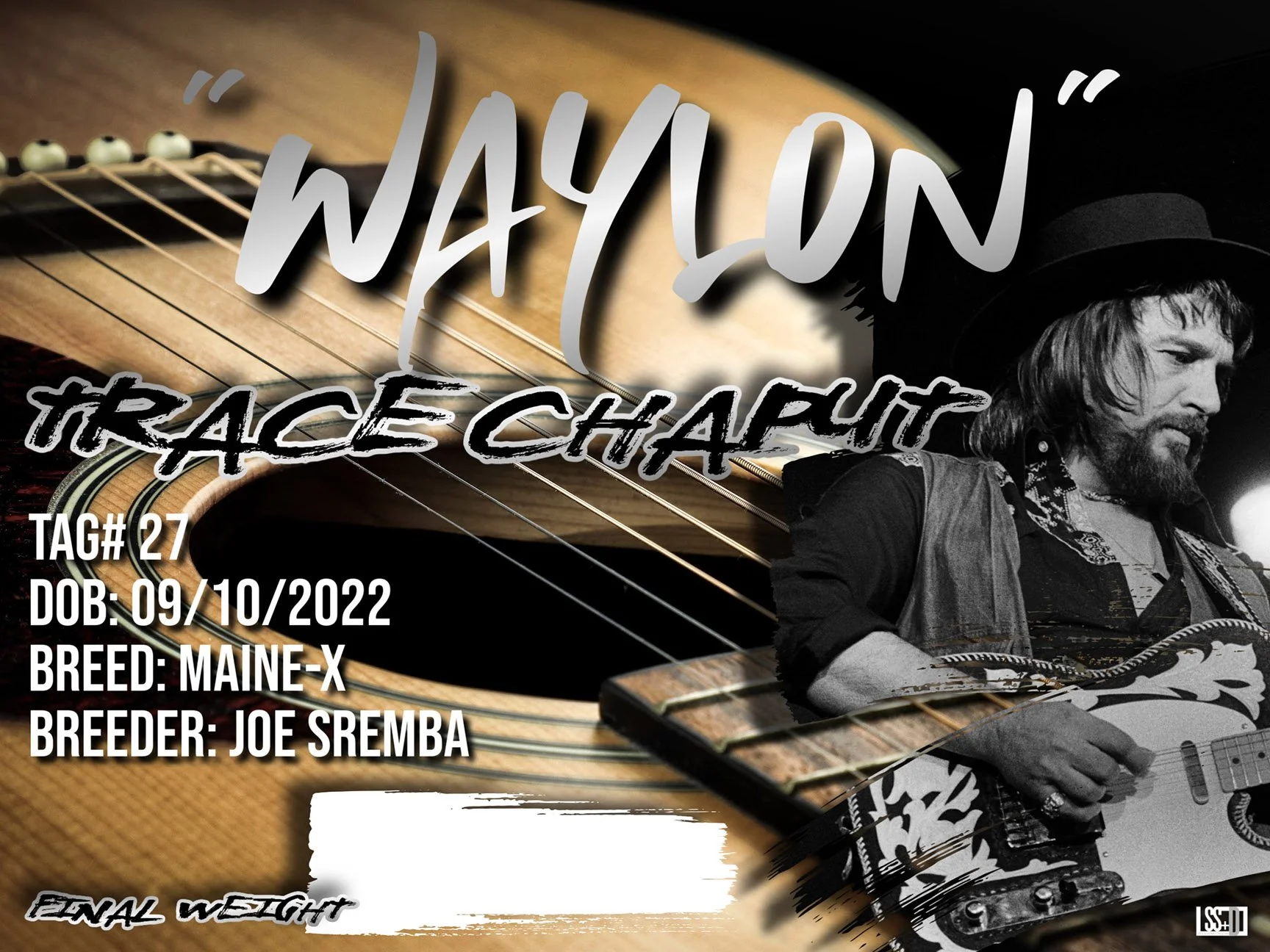 18X24_CURRO WITH GROMENTS_WAYLON-TRACE CHAPUT.jpg