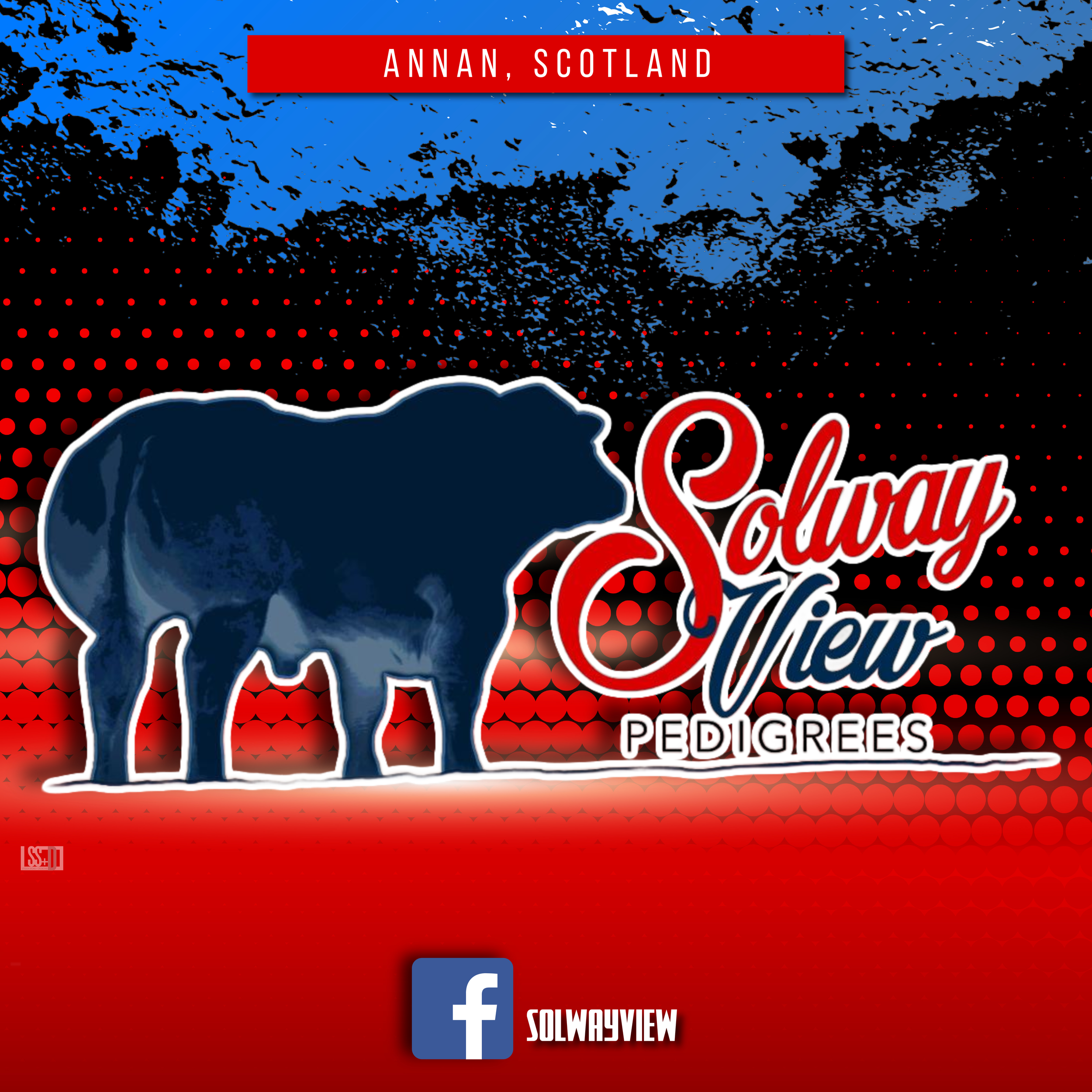 SOLWAY VIEW PEDIGREES-20x20-FARM SIGN by Stock Signs and Designs.png