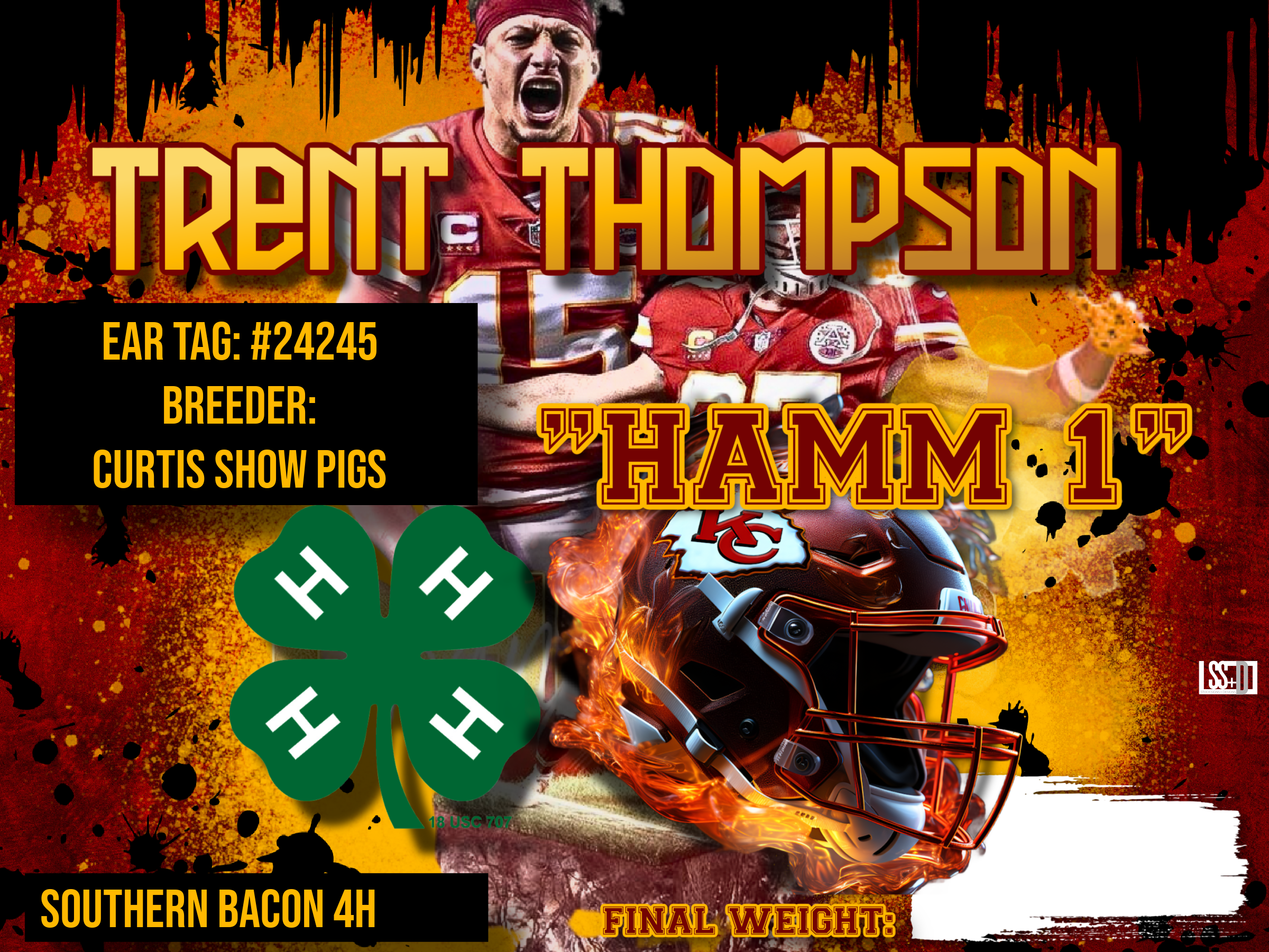24X18_TRENT THOMPSON_HAMM 1 copy 2.png
