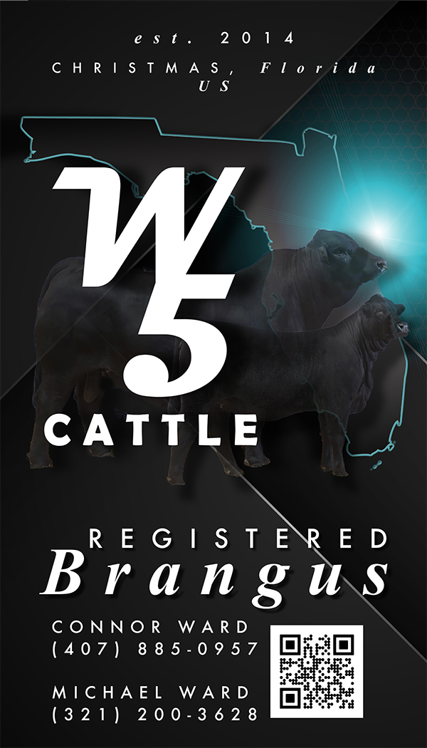 w5 BUSINESS CARD-2X3.5_.png