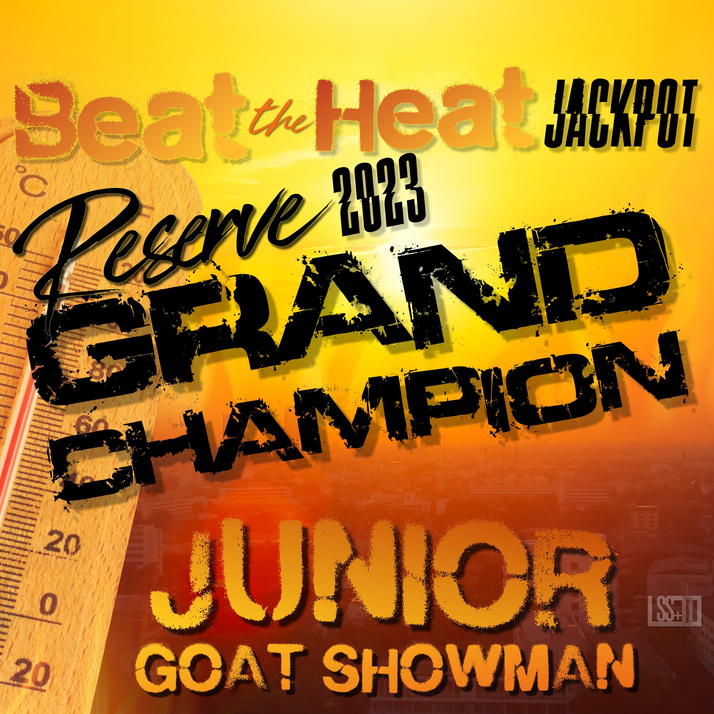 16X16_BEAT THE HEAT JACKPOT showmanship (8).jpg