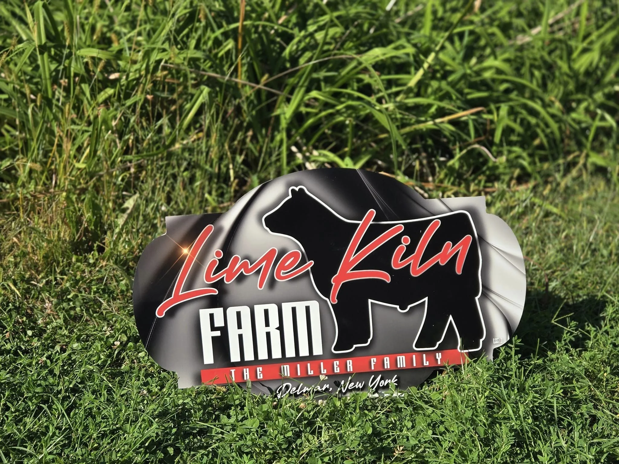 458311021_1013875200438885_3405367828065951608_n (1).jpg