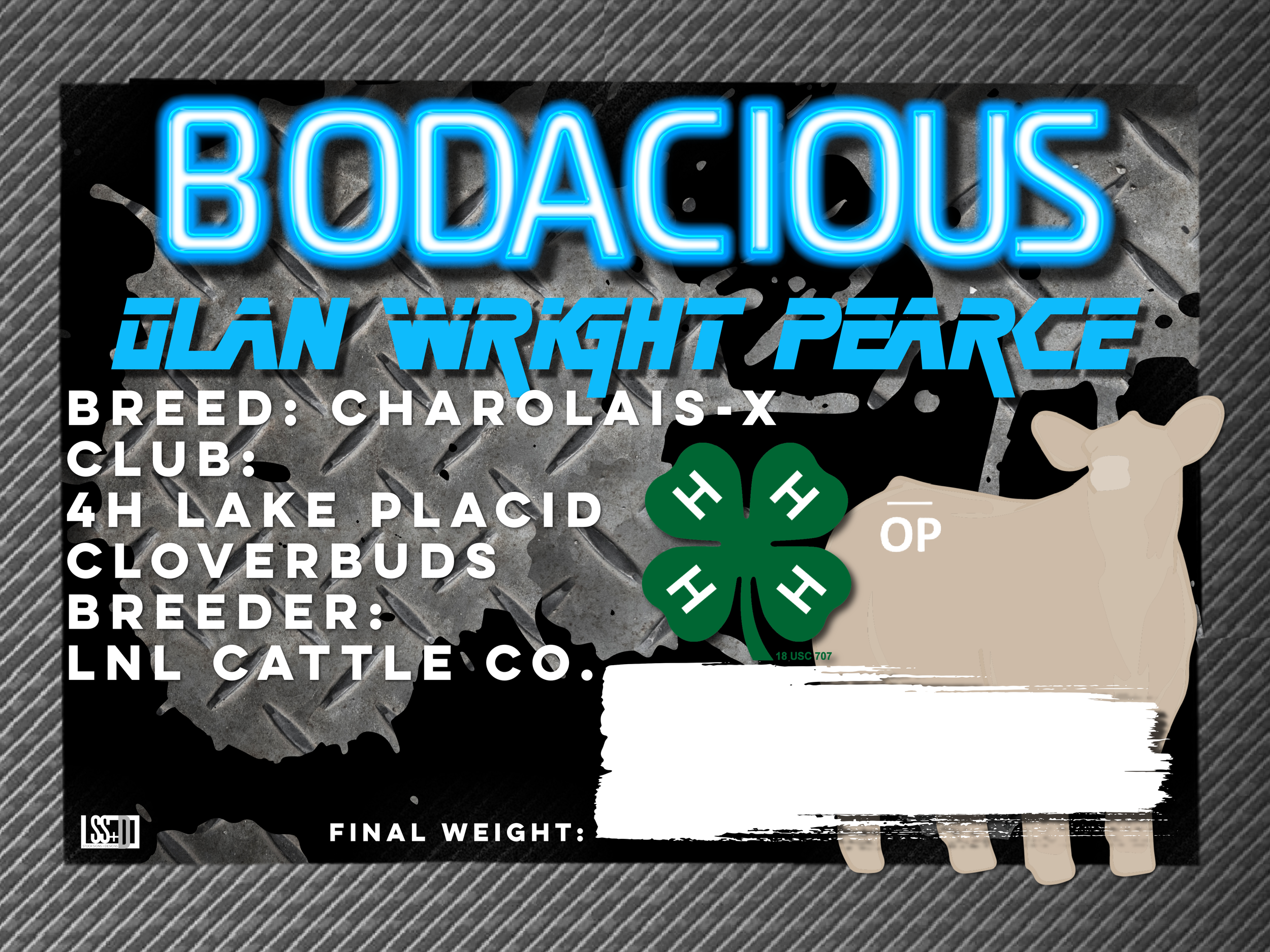 18x24_ OLAN WRIGHT PEARCE_CURRO WITH GROMENTS .png