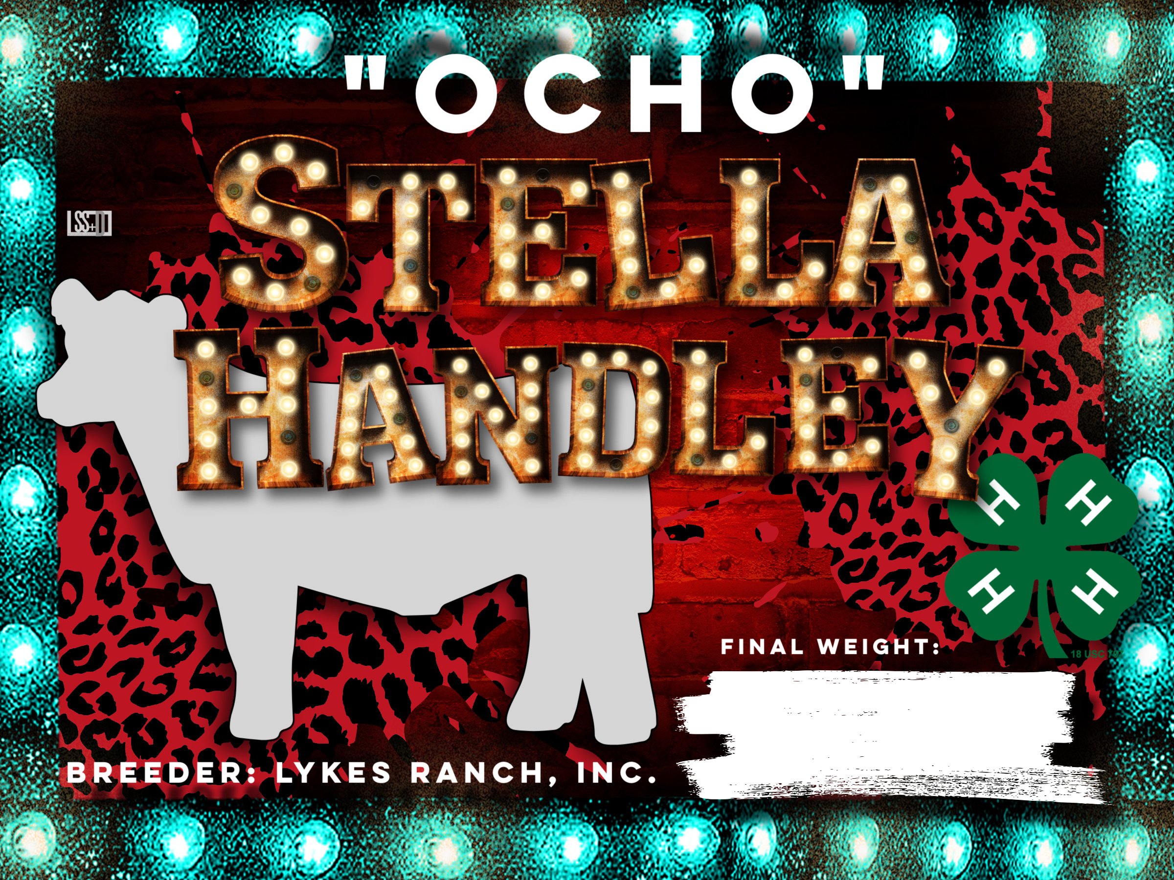 18x24_CURRO WITH GROMENTS_STELLA HANDLEY copy.jpg