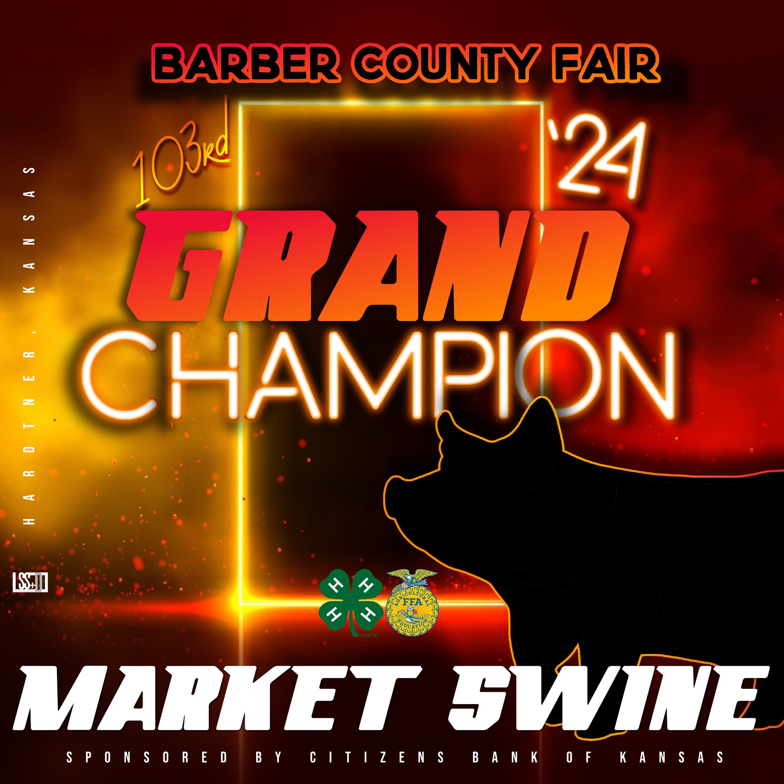 18X18-GROMENTS-BARBER COUNTY FAIR-2024-SWINE copy.jpg