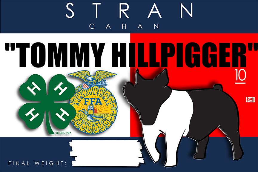 RUSH_12X8_CURRO WITH GROMENTS_STRAN CAHAN-PIG SIGN.png