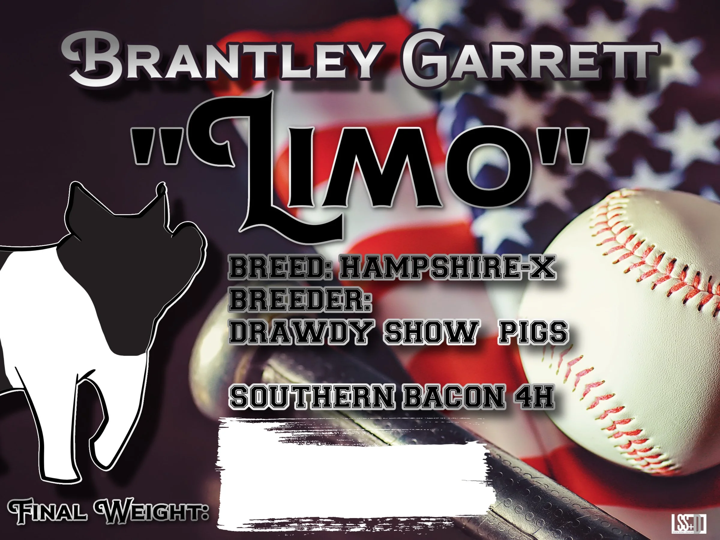 24x18_BRANTLEY GARRETT_LIMO.jpg