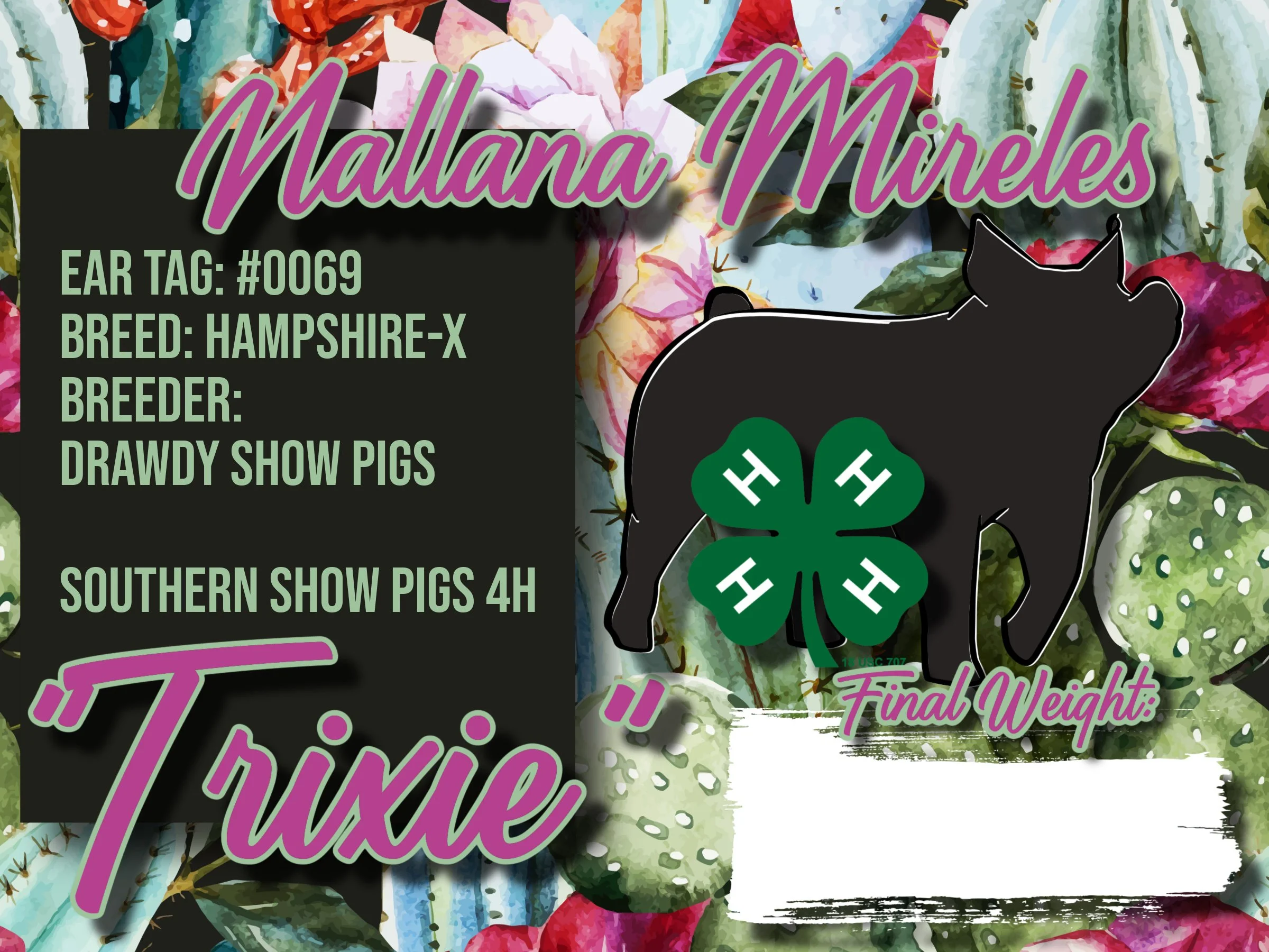 24x18_NALLANA MIRELES.jpg