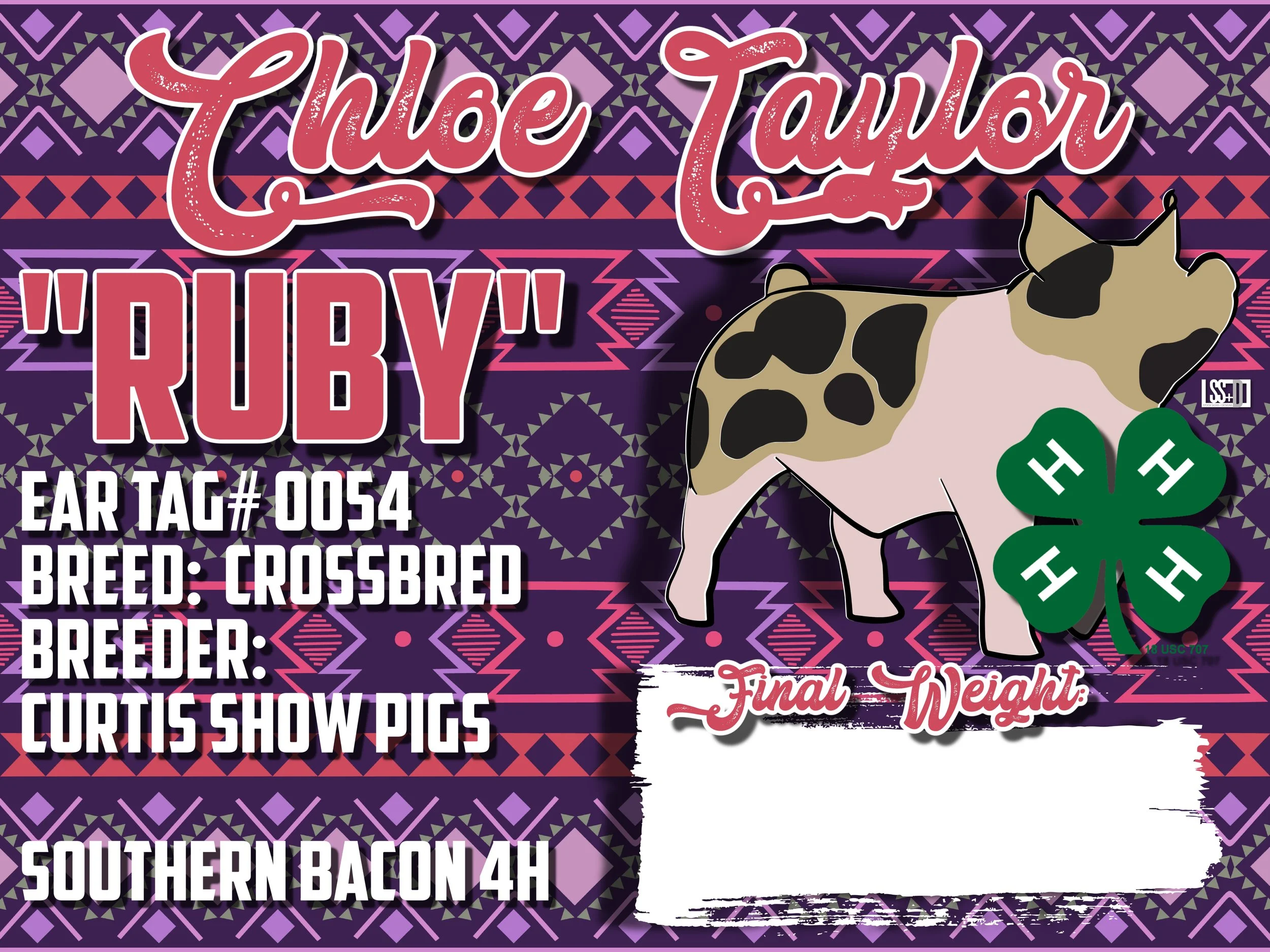 24x18_CURRO WITH GROMENTS_CHLOSE TAYLOR_RUBY.jpg