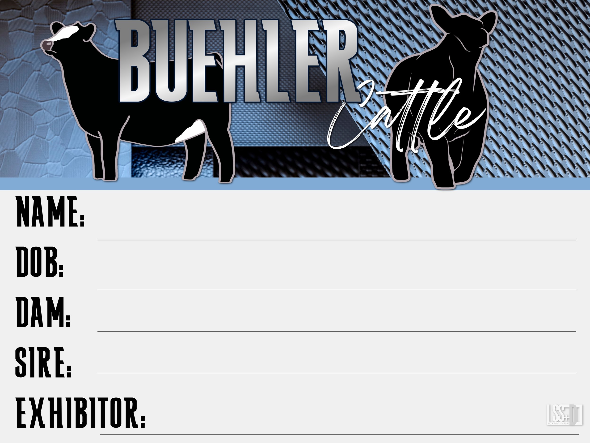 Buehler Show Cattle copy 3.jpg