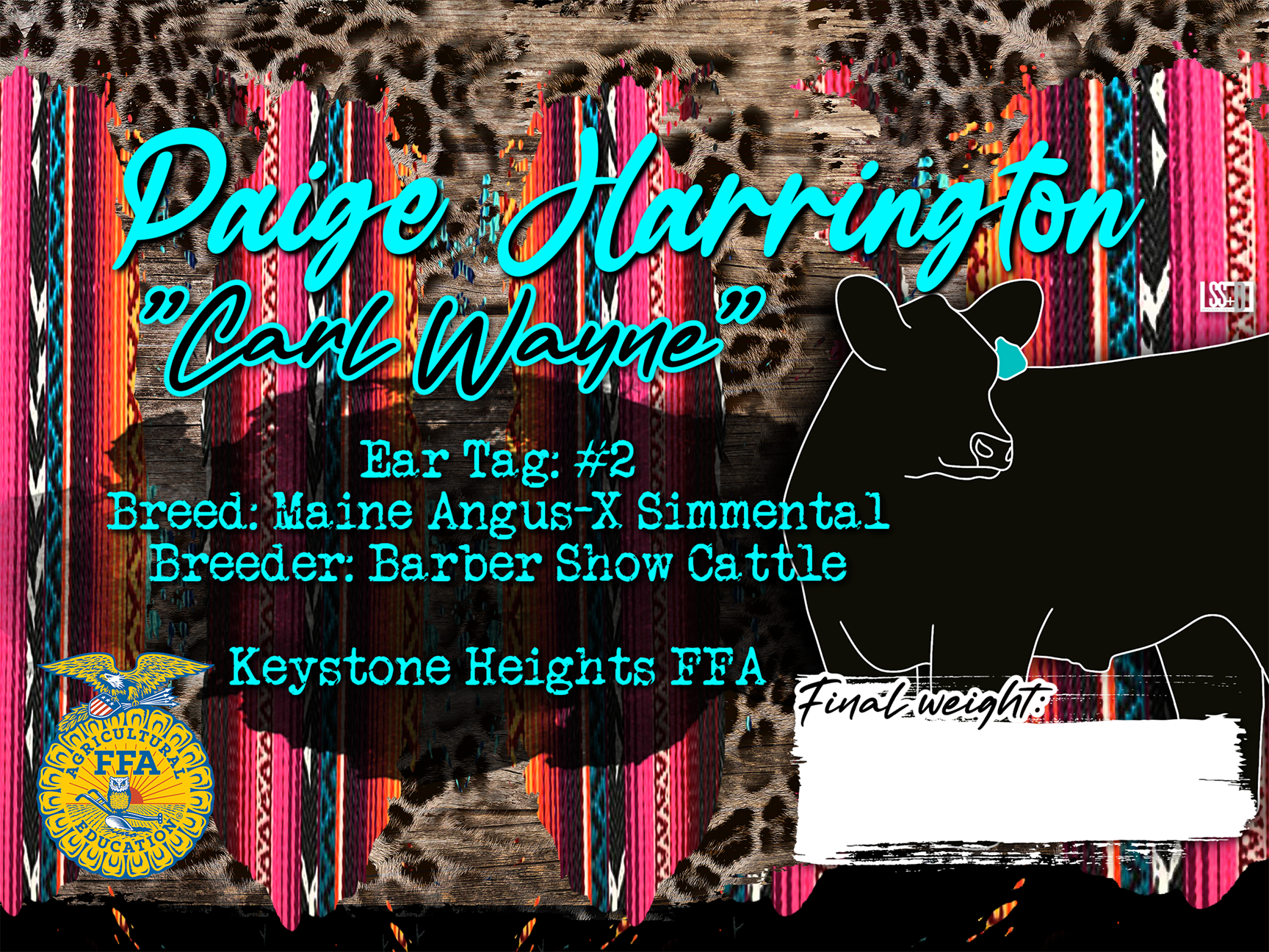 18X24_CURRO WITH GROMENTS_PAIGE HARRINGTON-CARL WAYNE (1).png