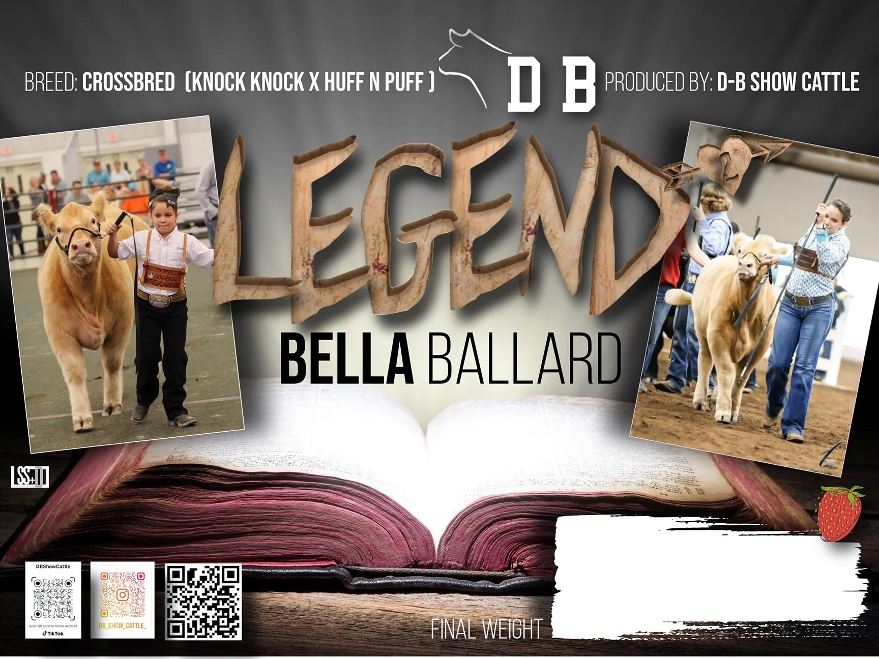 18x24_VINYL STALL BANNER WITH GROMENTS_BELLA BALLARD-LEGEND.jpg