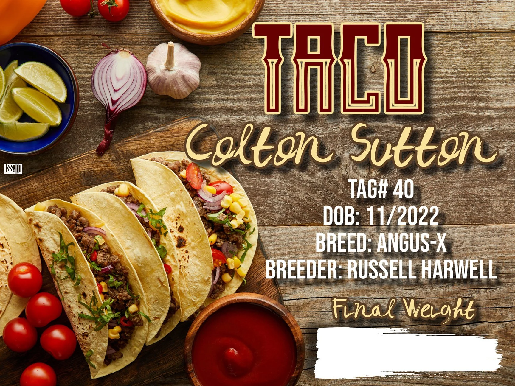 24x18_CURRO WITH GROMENTS_TACO-COLTON SUTTON.jpg