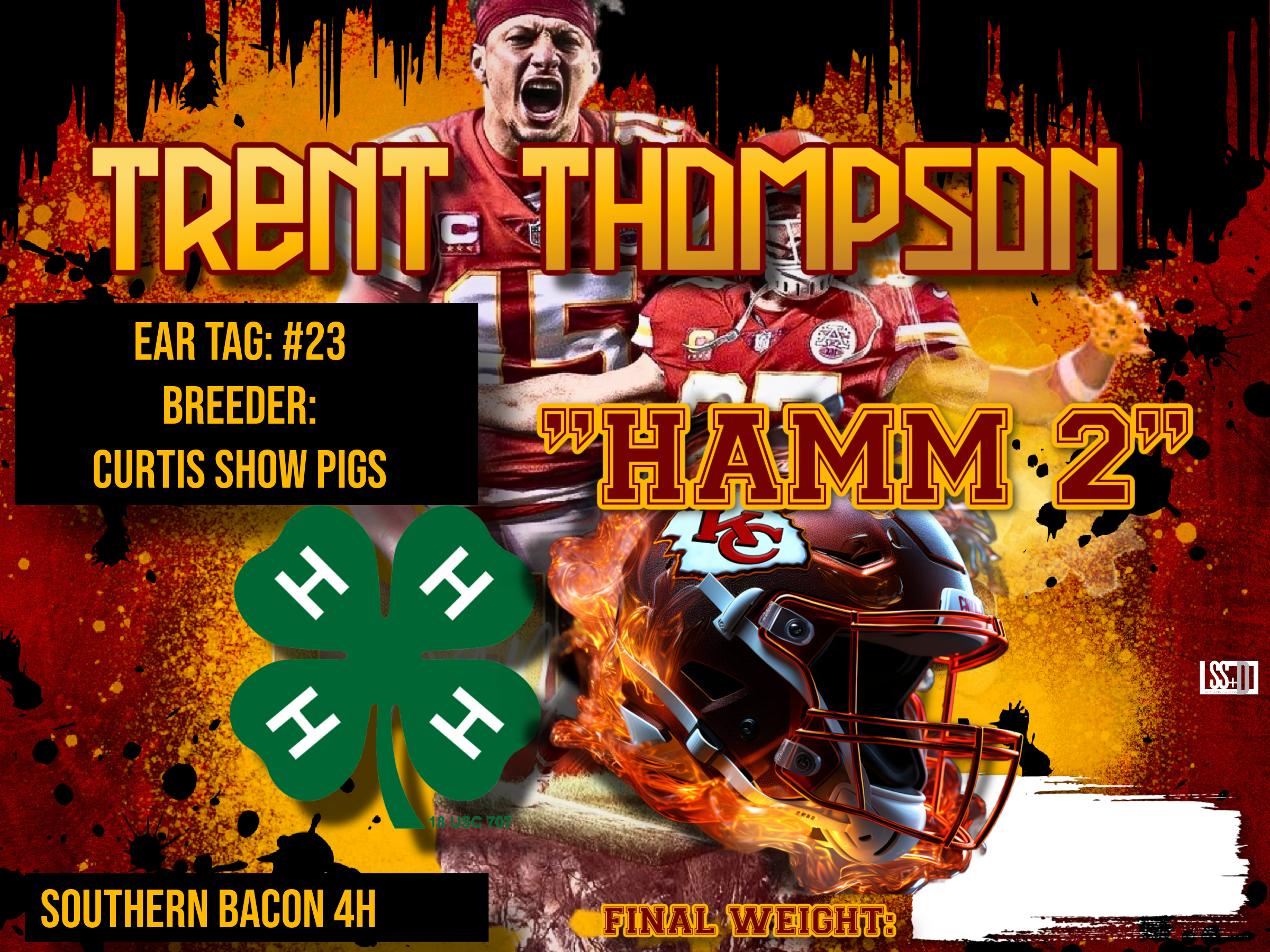 24X18_TRENT THOMPSON_HAMM 2 (1).png