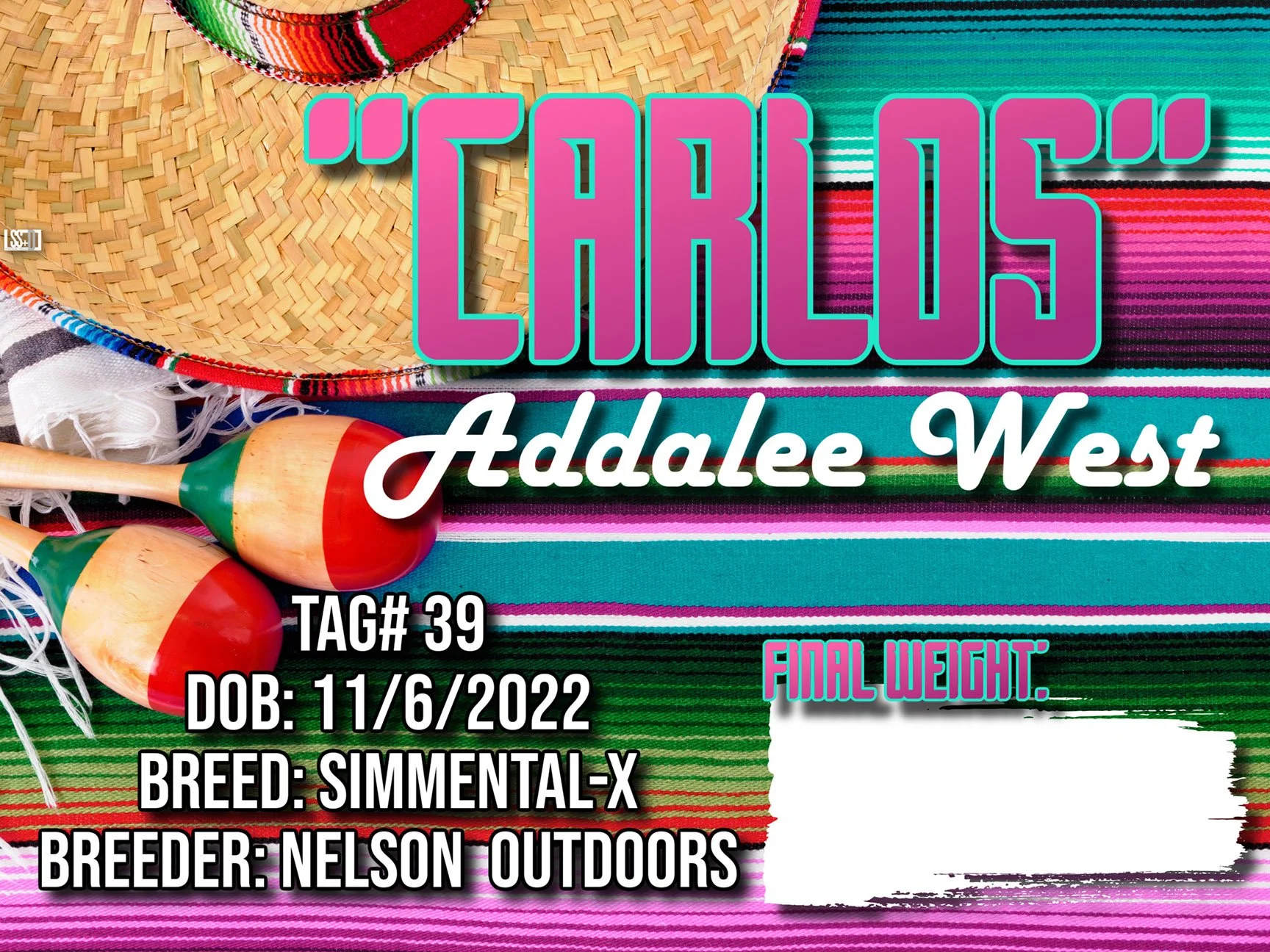 18x24_curro with groments_Addalee West-Carlos (1).jpg