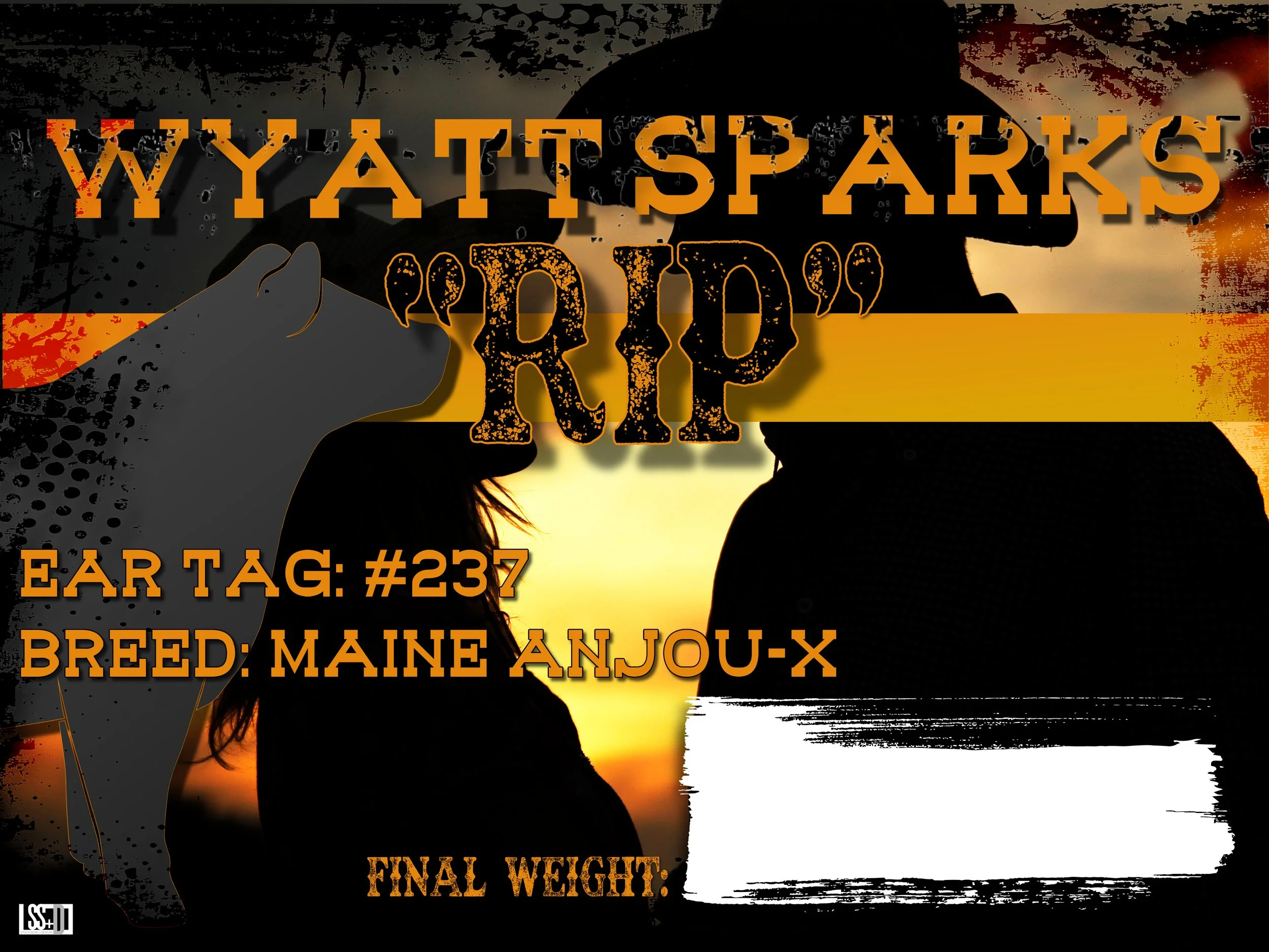 24x18_CURRO WITH GROMENTS_WYATT SPARKS_RIP (1).jpg