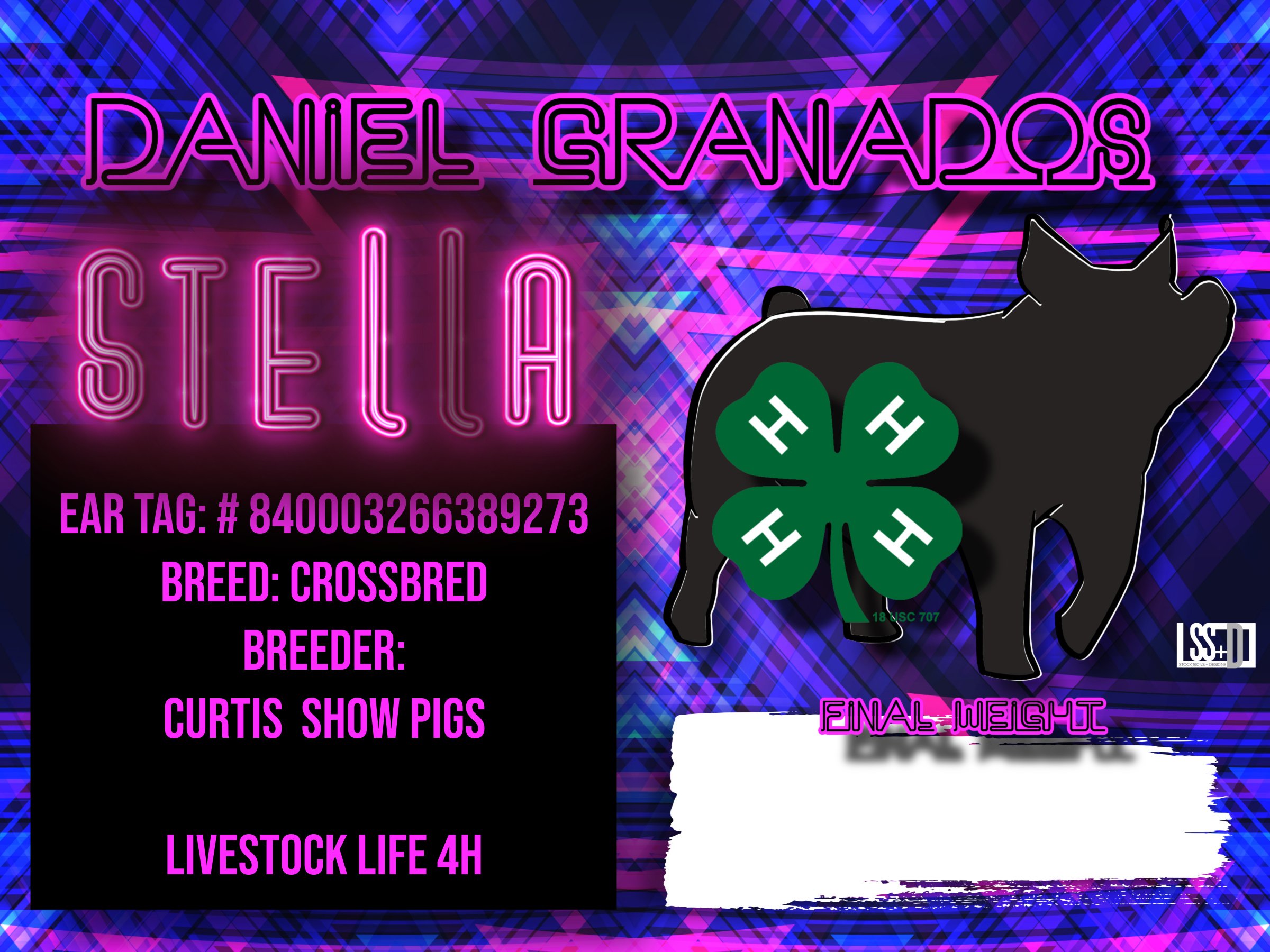 24X18_DANIEL GRANADOS_STELLA.jpg
