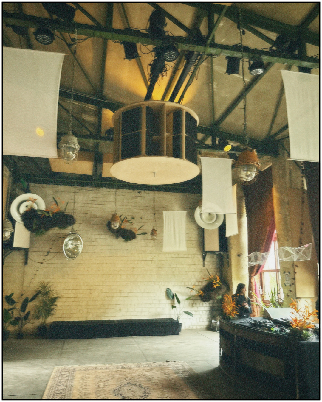 Untitled design copy 6.png