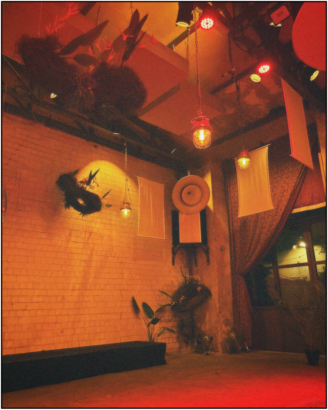 Untitled design copy 5.png