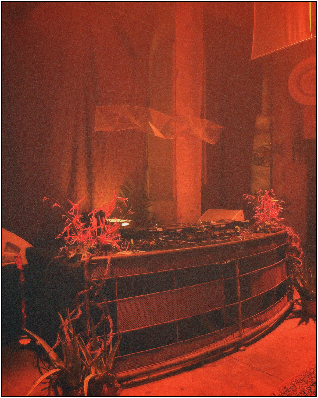 Untitled design copy 4.png